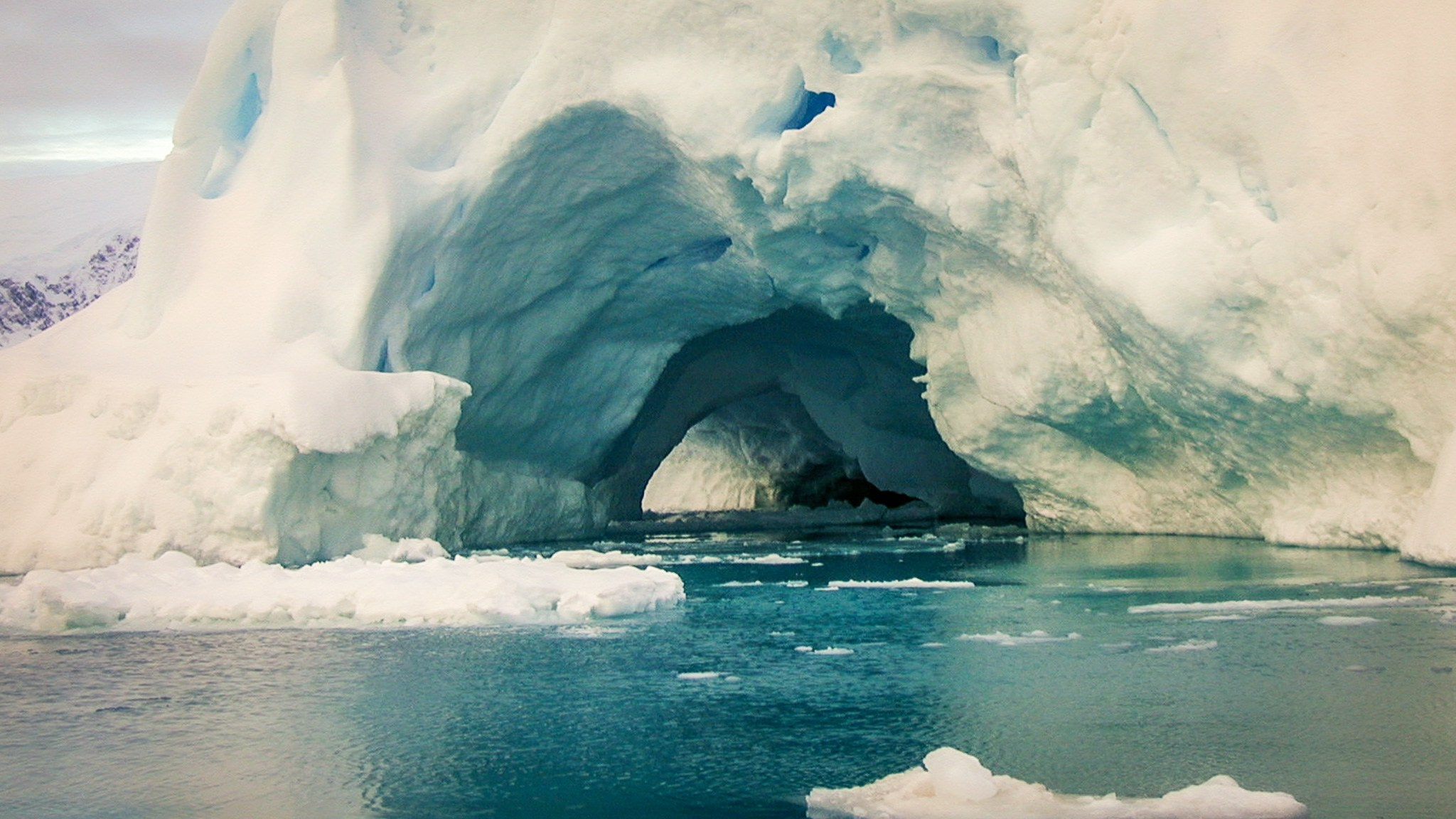 ANTARCTICA / 2004. Reportage concert portrait photography in the San Francisco Bay Area
