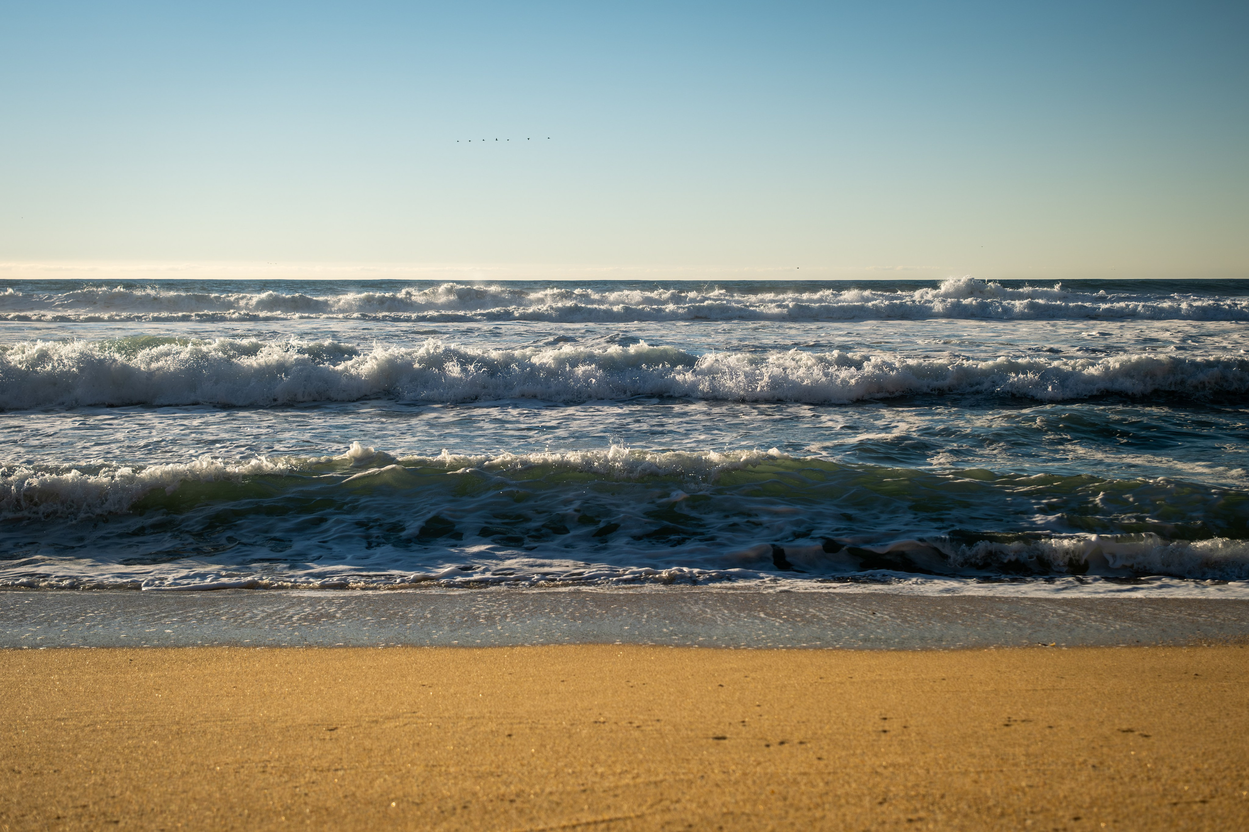 NATURE. Reportage concert portrait photography in the San Francisco Bay Area