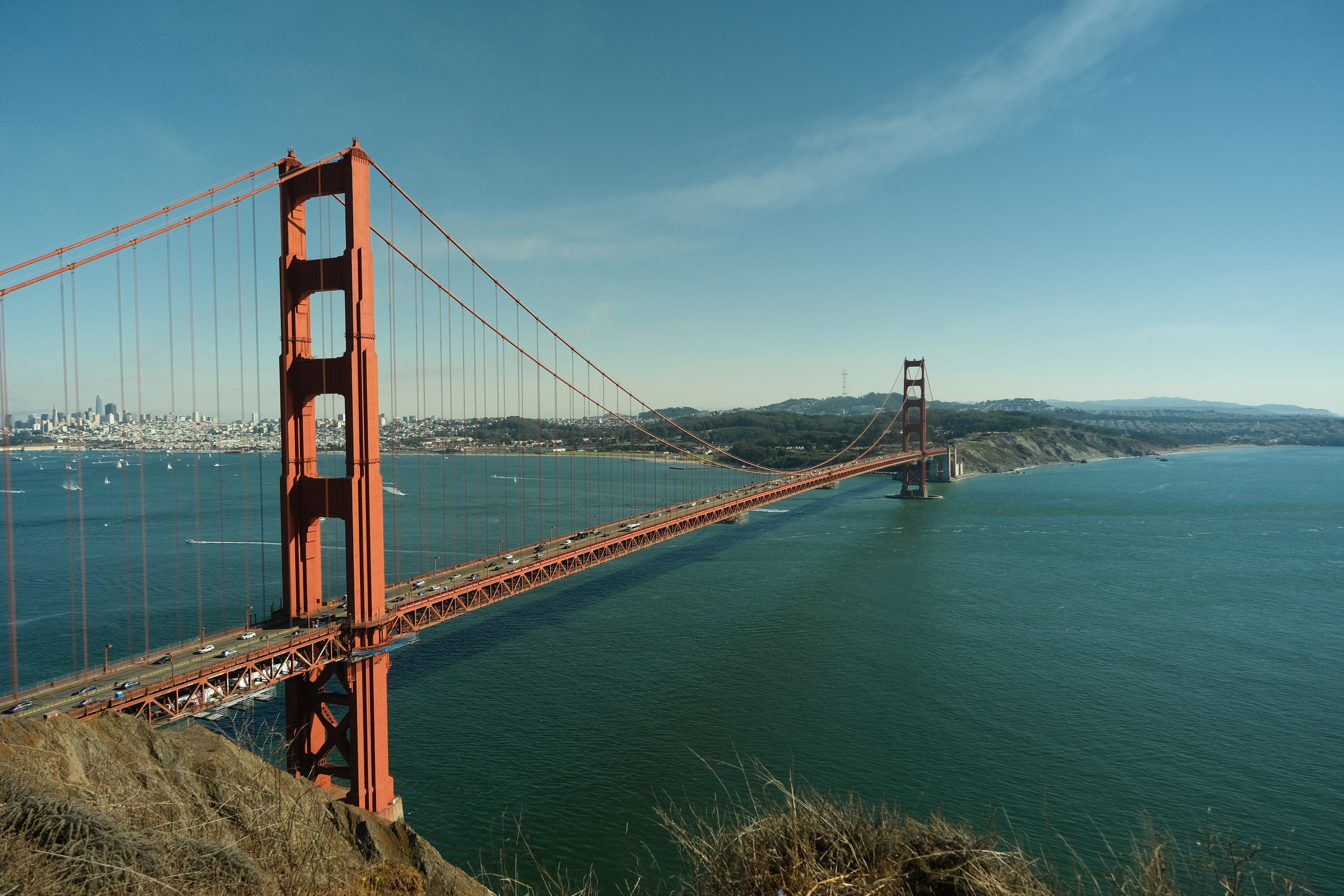 BLUE ANGEL. Reportage concert portrait photography in the San Francisco Bay Area