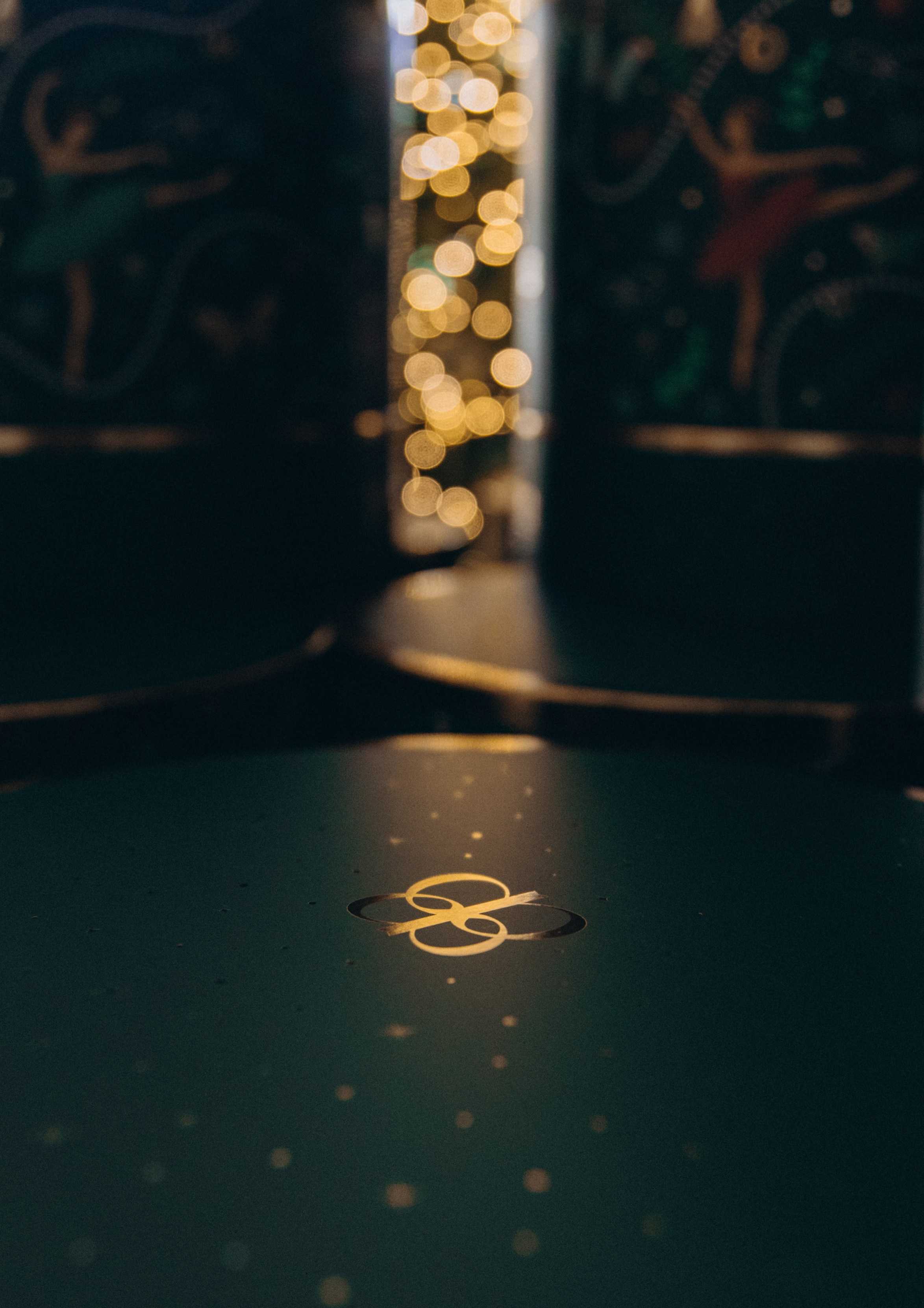 Bohicare. Portrait photographer in South Korea Olga Lian