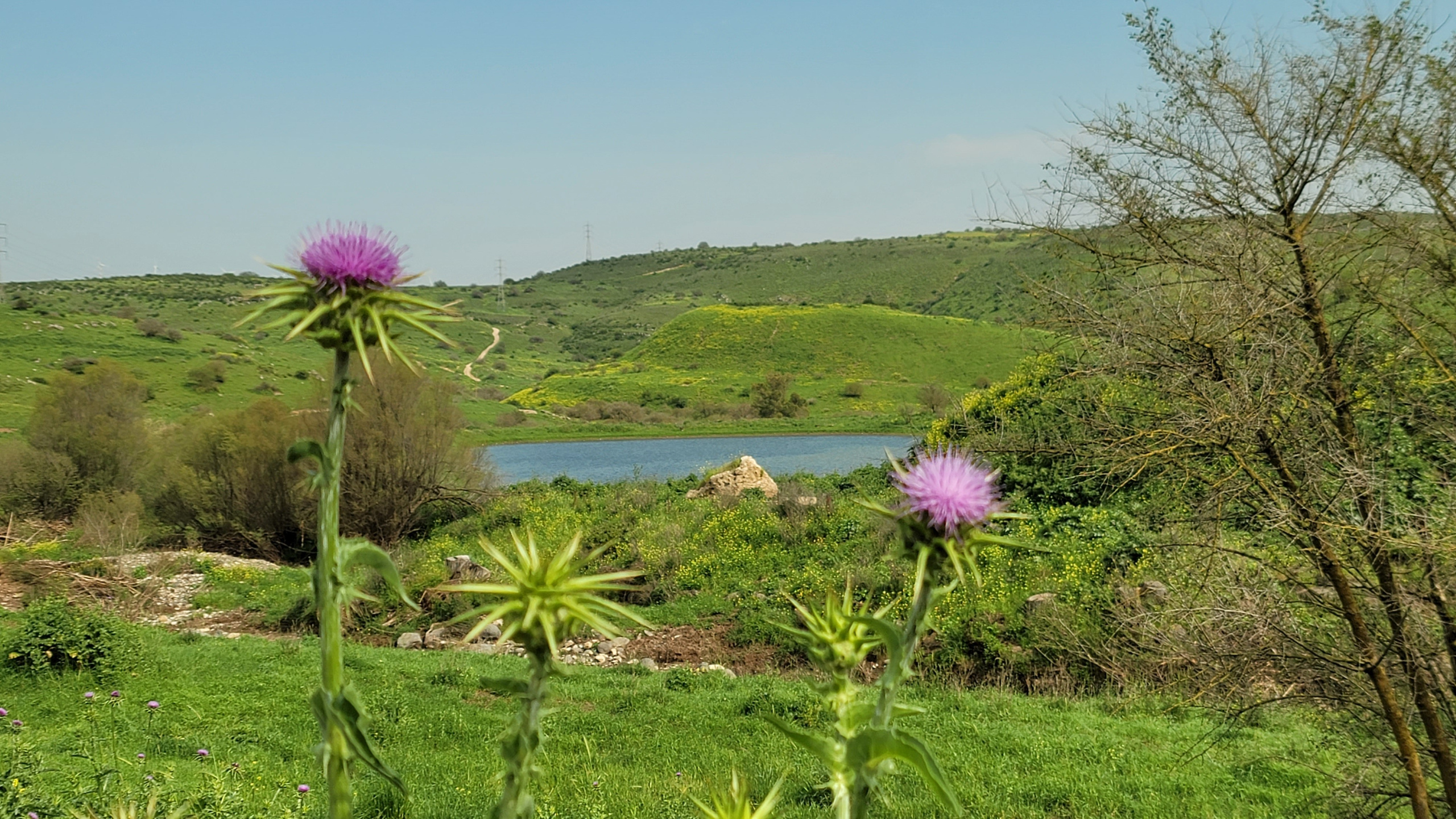 Реконструкционный поход Shvil Israel 2024 — Клуб «Нортман». КРиС «Нортман»