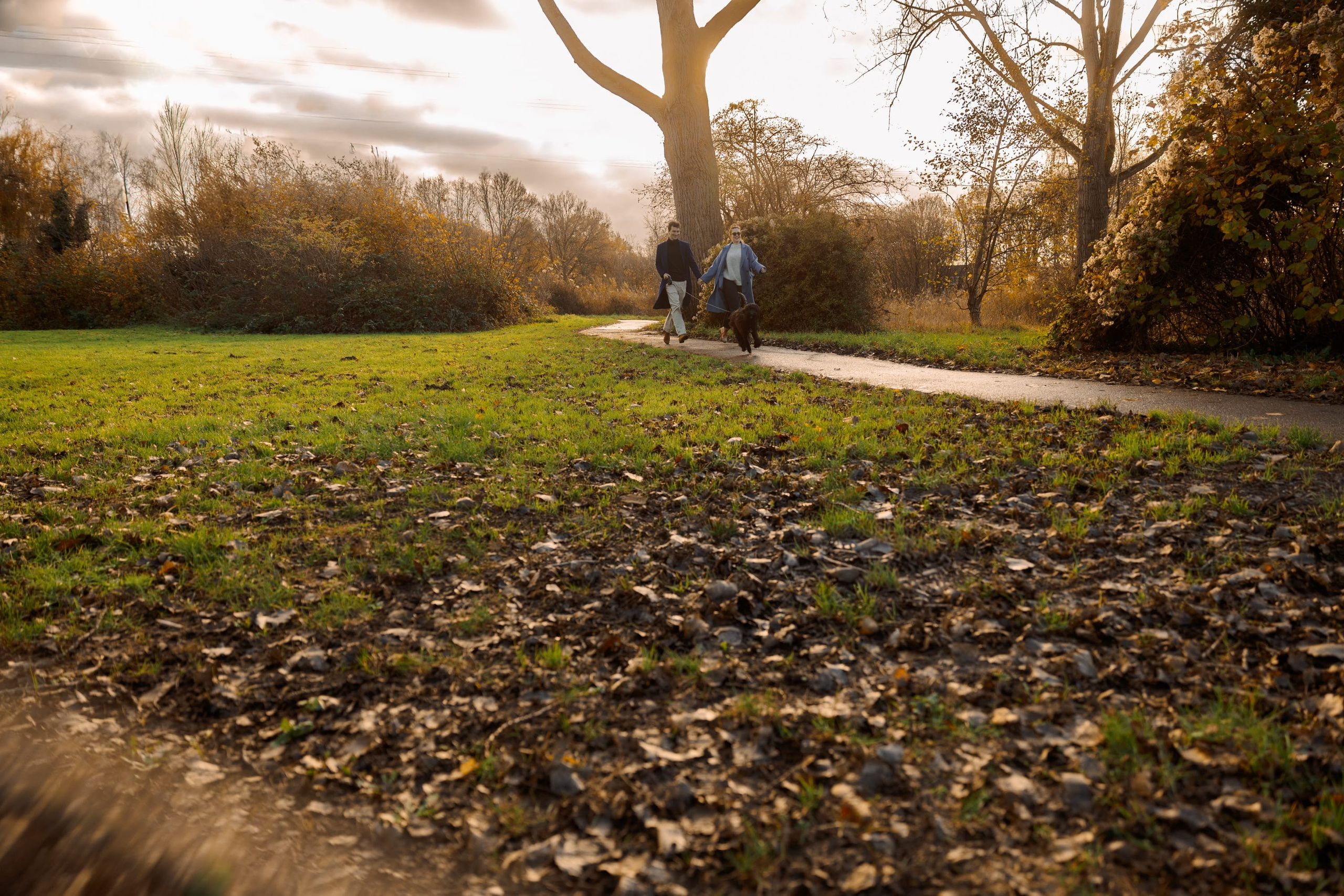 Pet Photoshoot in Spijkenisse | Rotterdam. Romantic & Soulful Photography by Natalia Olhova in Rotterdam