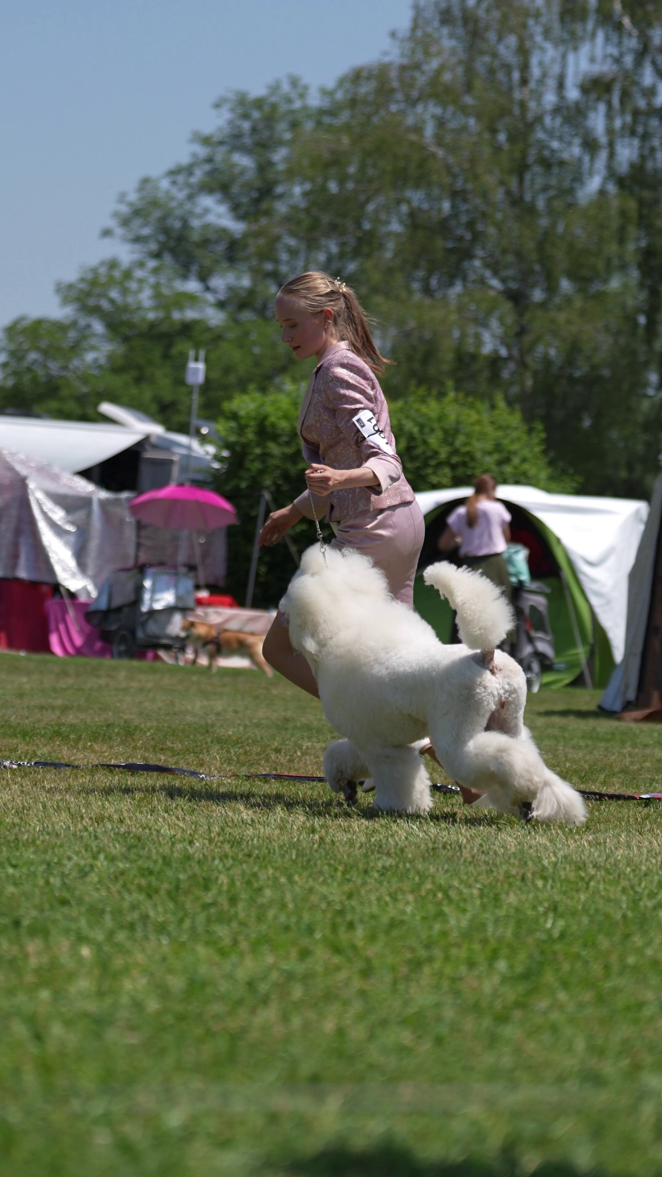 🇨🇭 Aarau Dog Show 2026