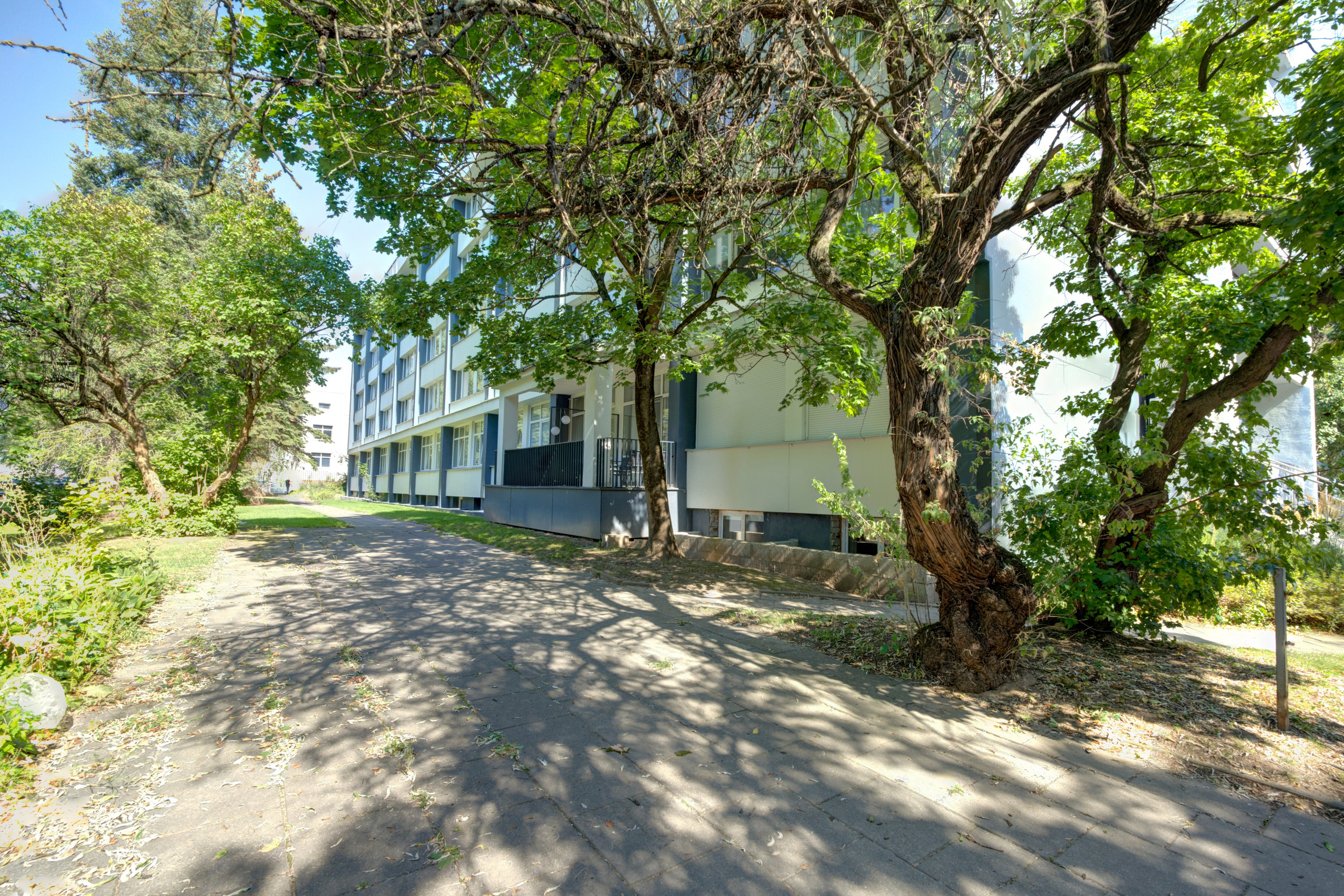 Studentų g. 41. Elina Sapiega fotografė Vilniuje