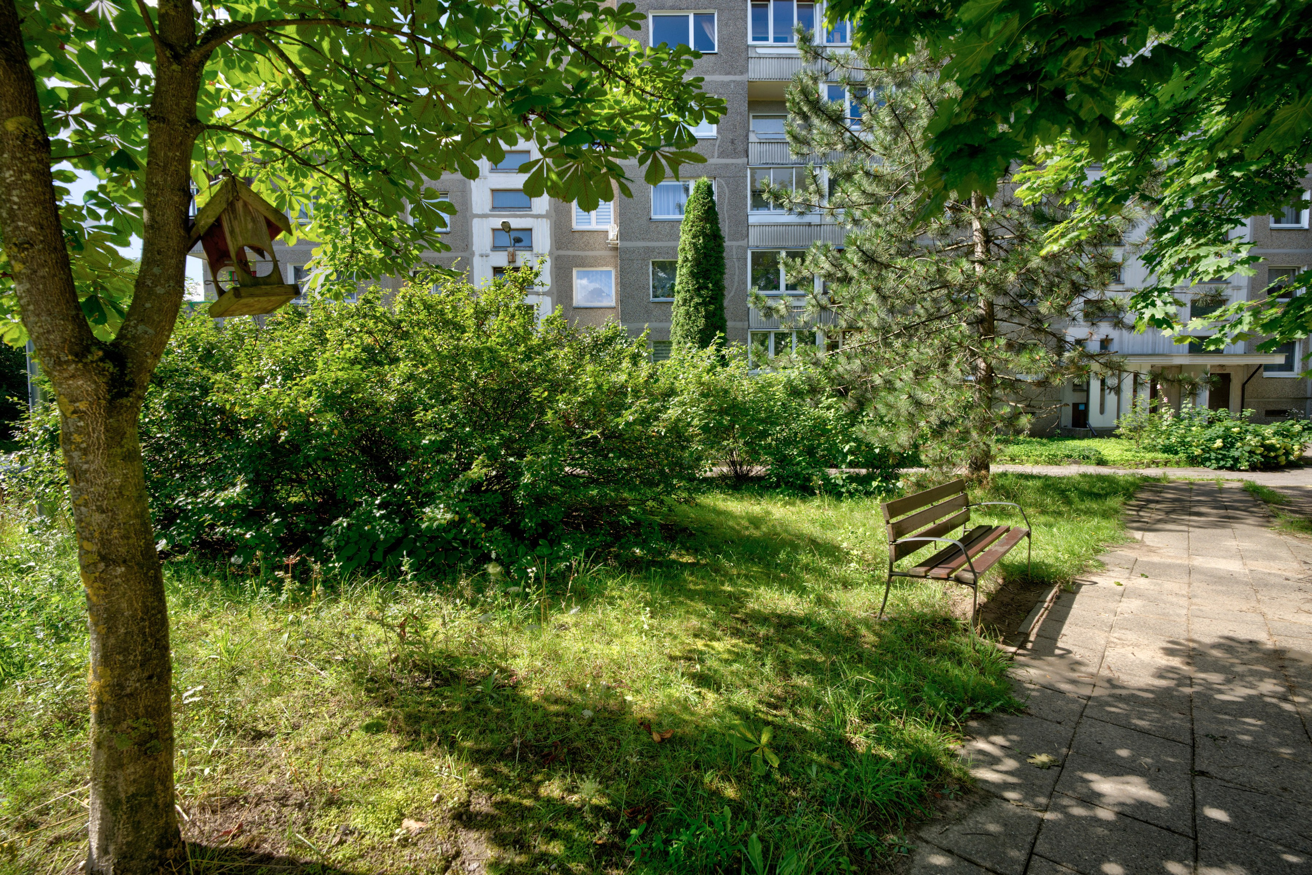 Gabijos g. Elina Sapiega fotografė Vilniuje