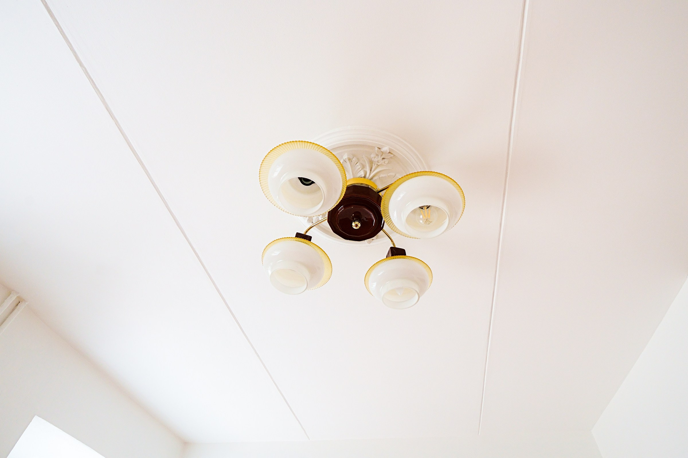 Rūdninkų 11. Elina Sapiega fotografė Vilniuje