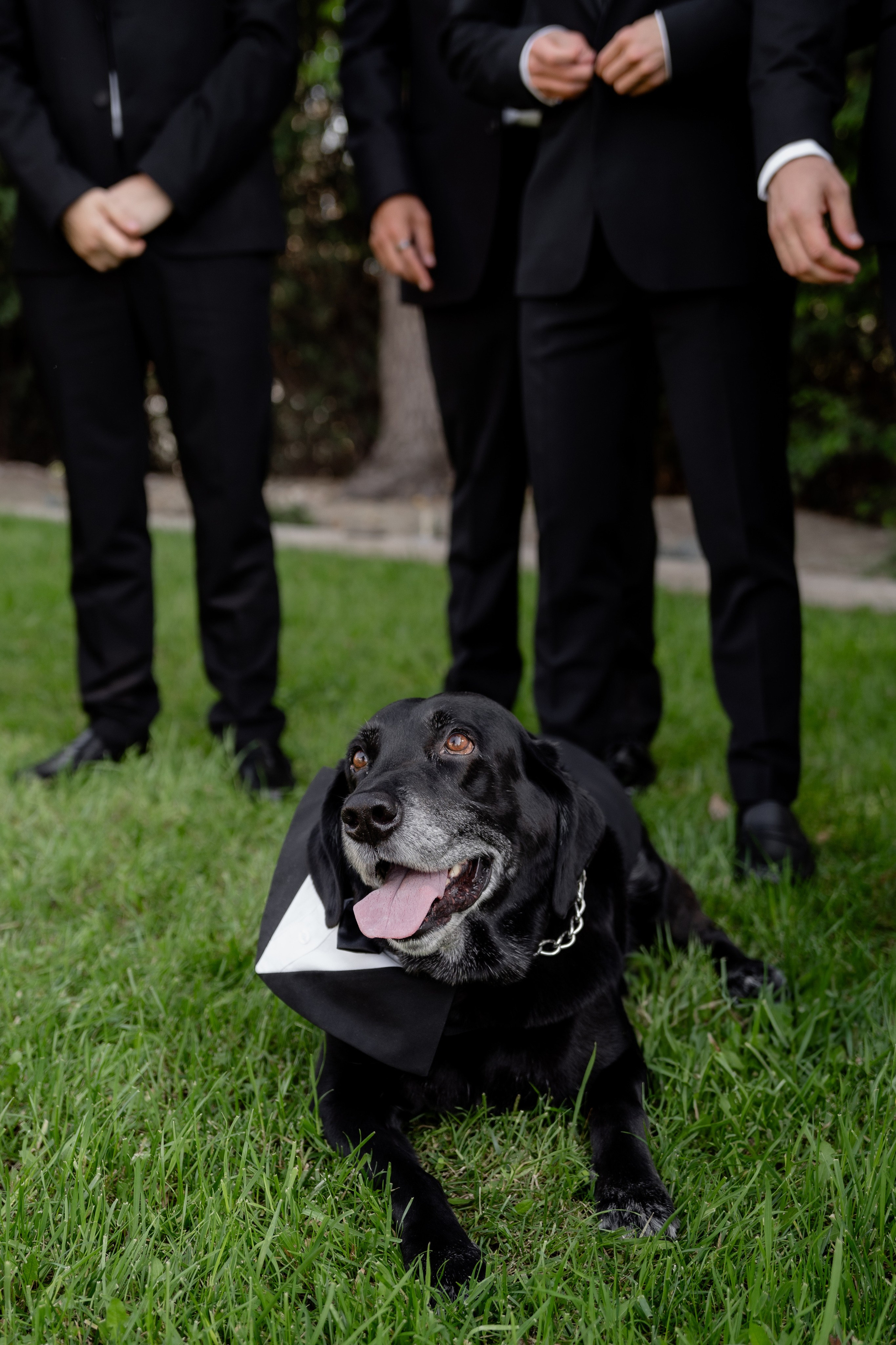 N&R. Orange County Wedding Photographer & Videographer | Candid & Timeless Wedding Photo + Video | Italiantsev