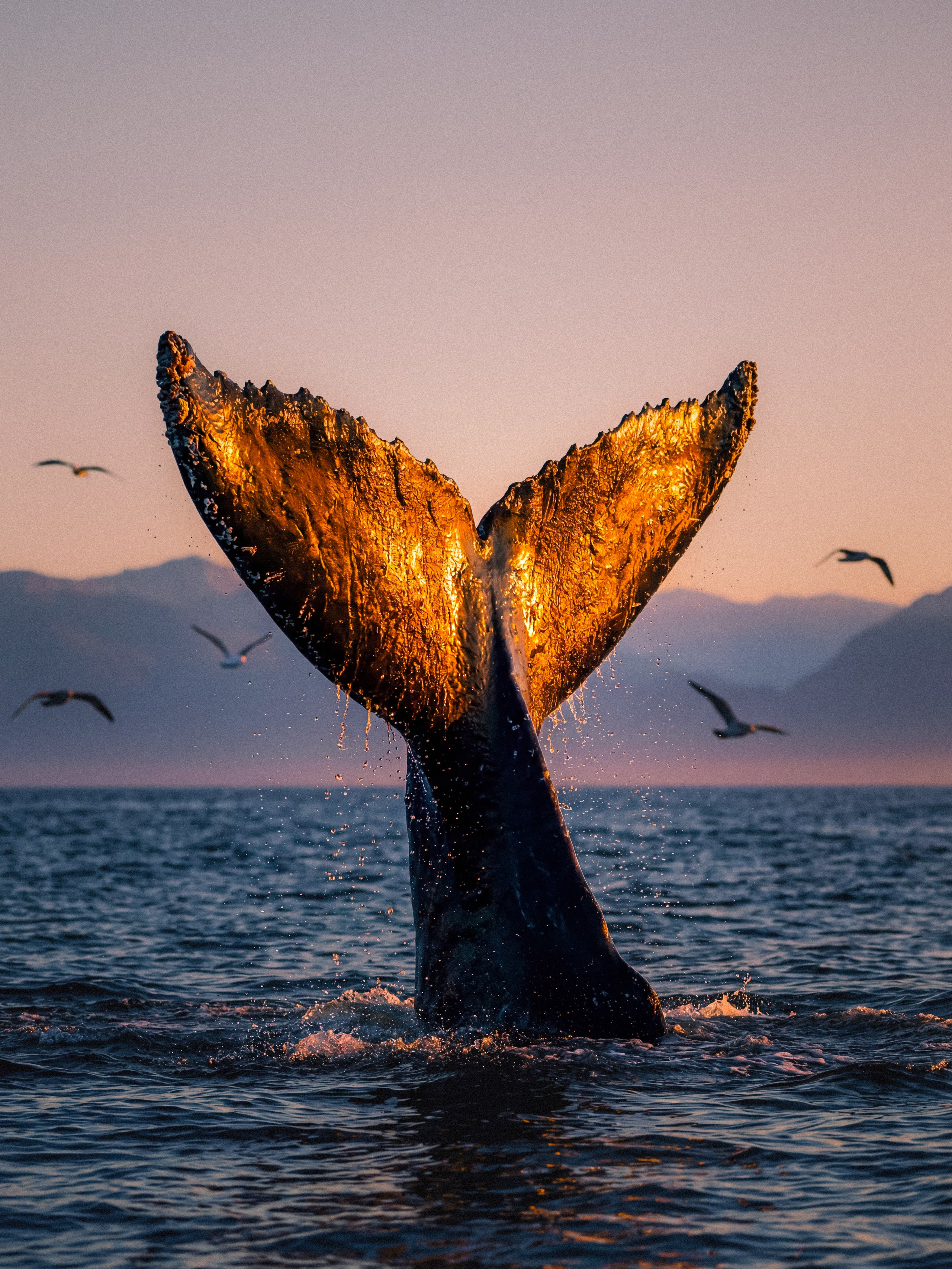 Photos of places around the World