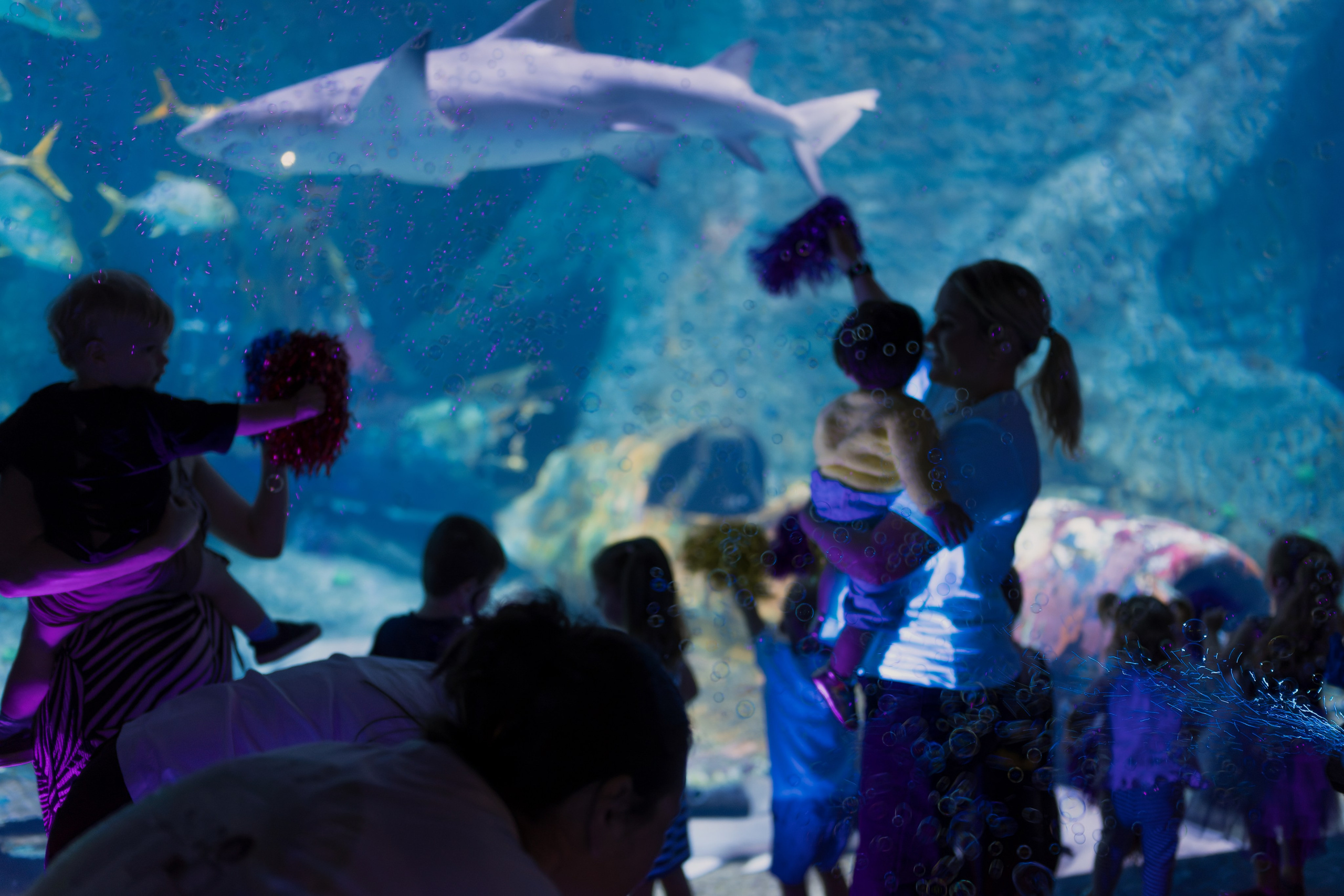 Events. Kids and Family photographer in UAE (Dubai, Abu Dhabi) Svetlana Tsoy