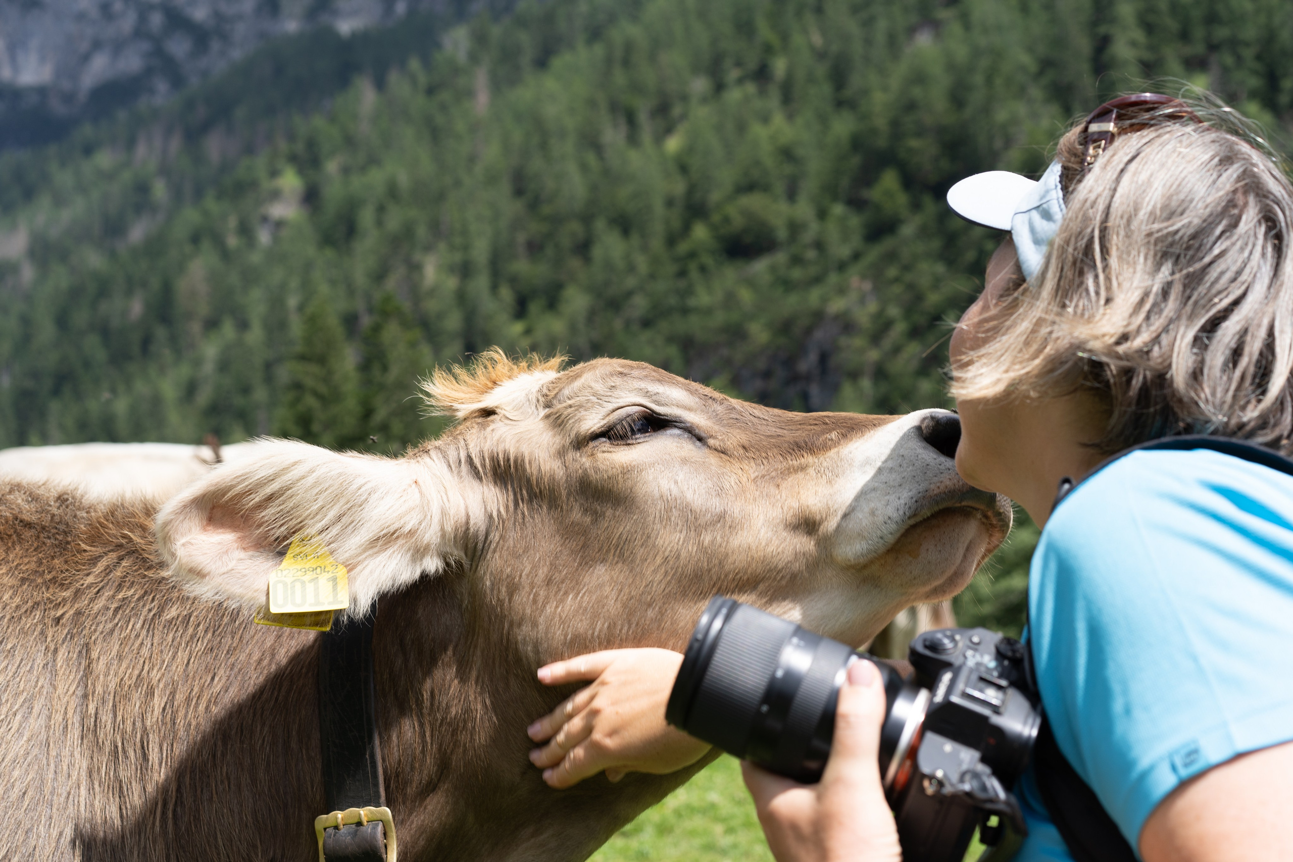 Первобытные люди в Доломитах. Семейные лагеря в Европе с Ниной Янечковой и Ириной Зиновьевой