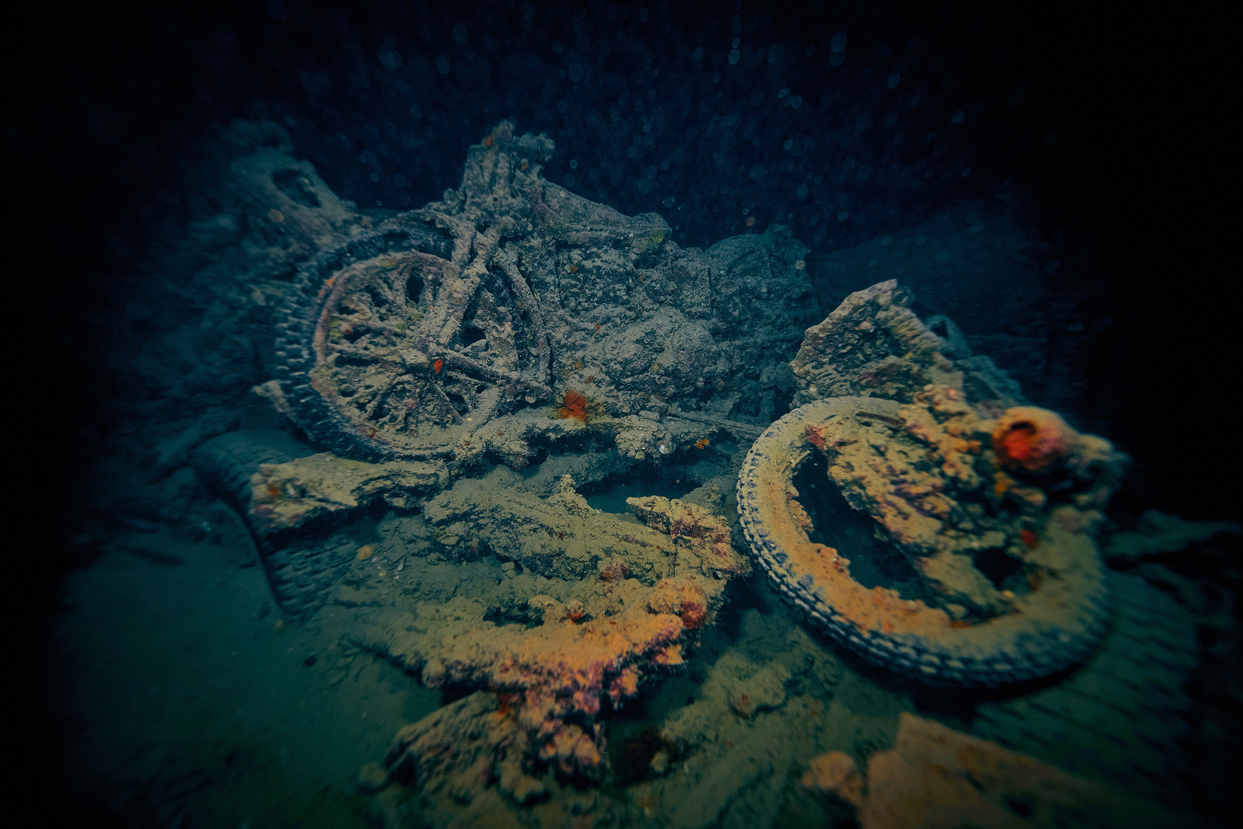 Podwodny fotograf - Andriej Szypiłow - zdjęcia wraków. Andriej Szypilow - Fotografia & Wideografia