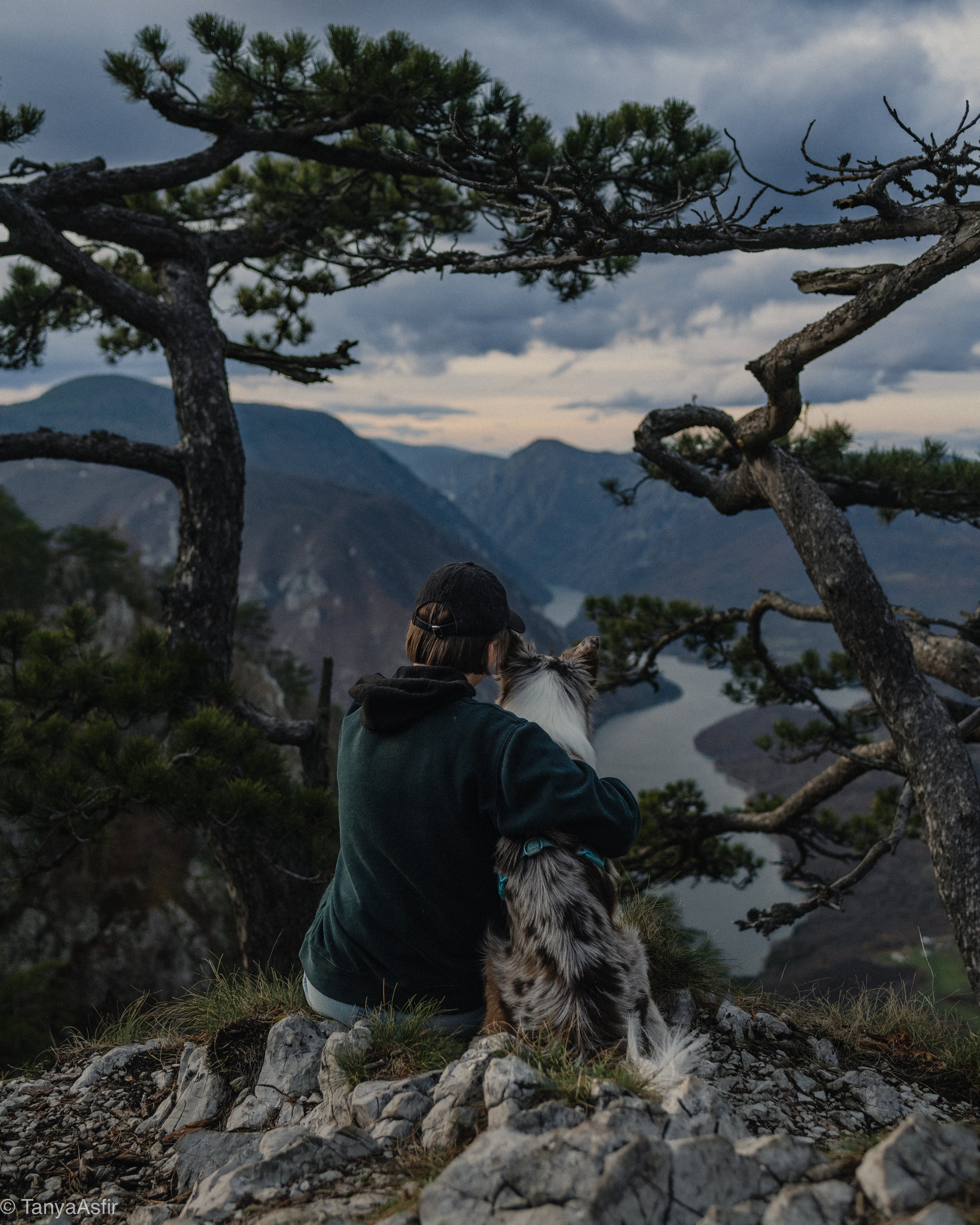 Woman embraces her marble Border Collie while enjoying a mountain view