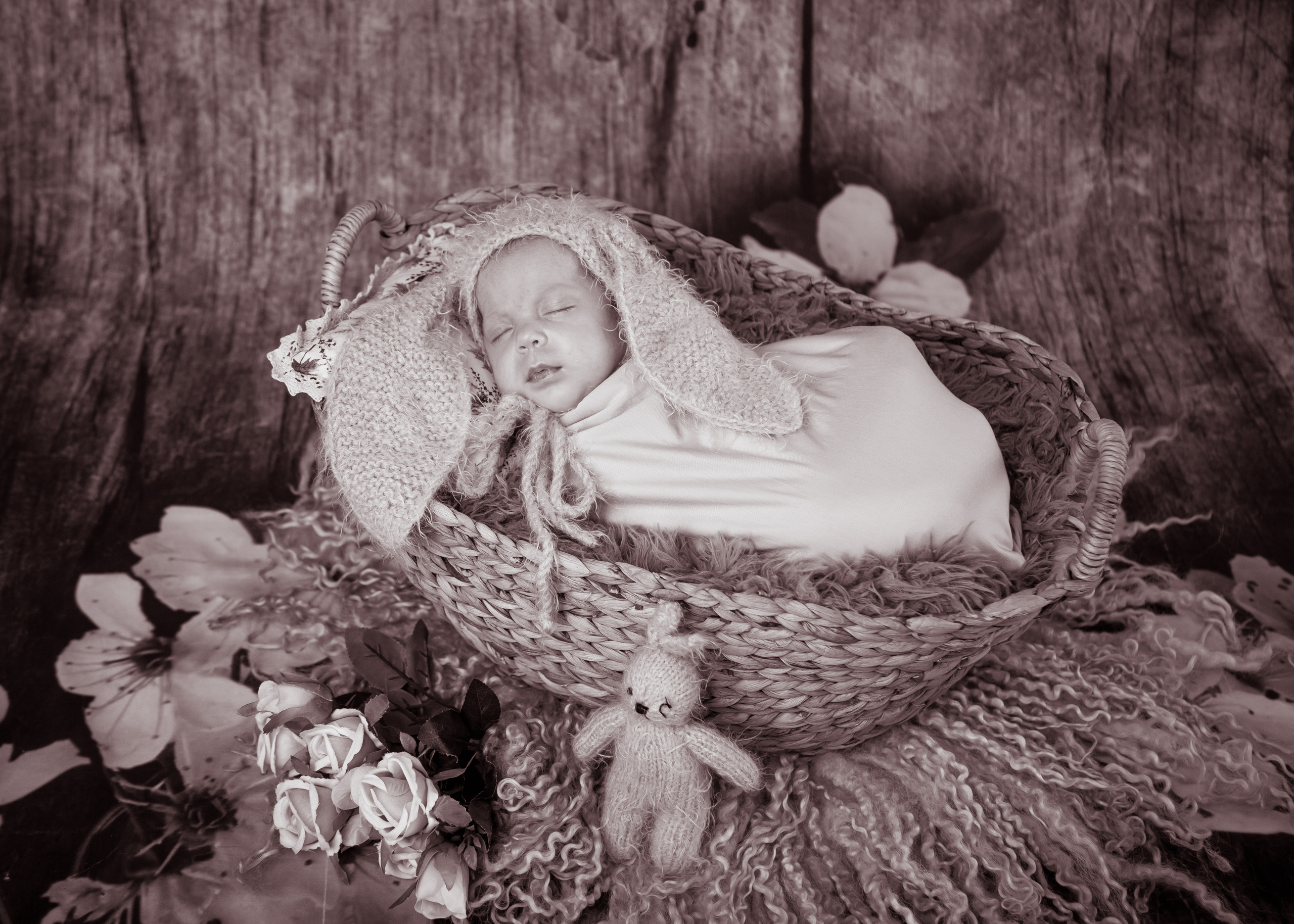 Alena. Свадебный, семейный и детский фотограф в Нетании (Израиль) Тори Гор