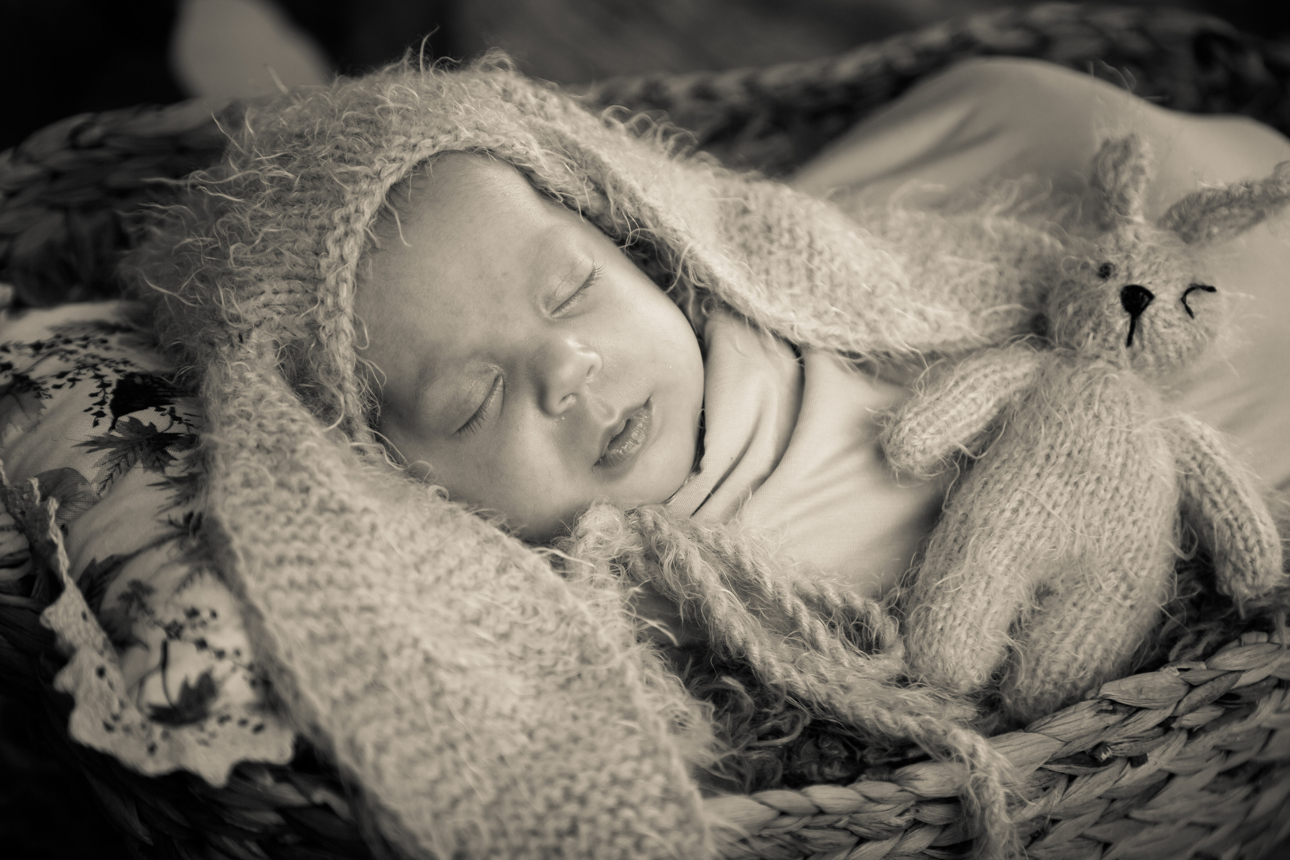 Alena. Свадебный, семейный и детский фотограф в Нетании (Израиль) Тори Гор