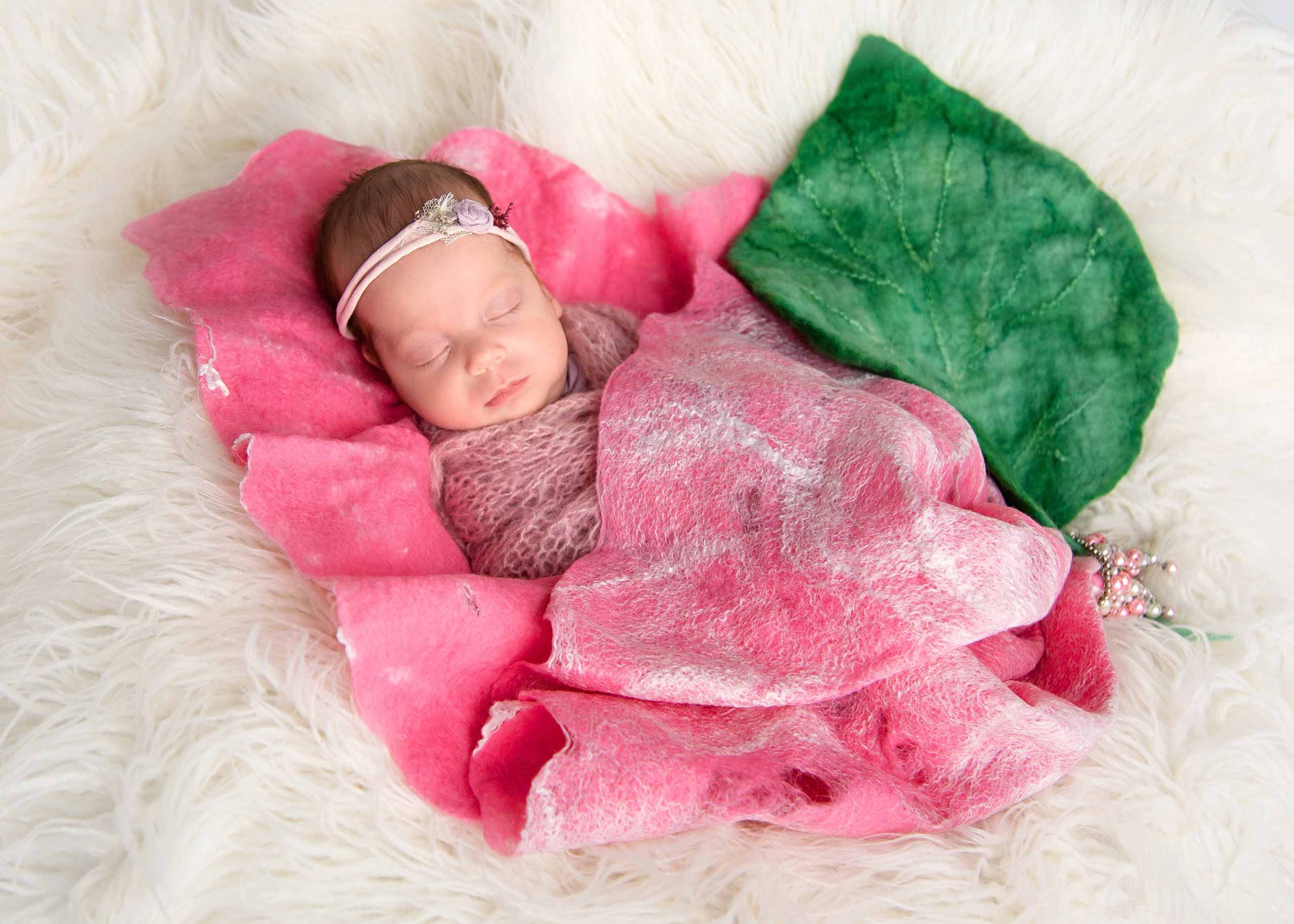 Alena. Свадебный, семейный и детский фотограф в Нетании (Израиль) Тори Гор