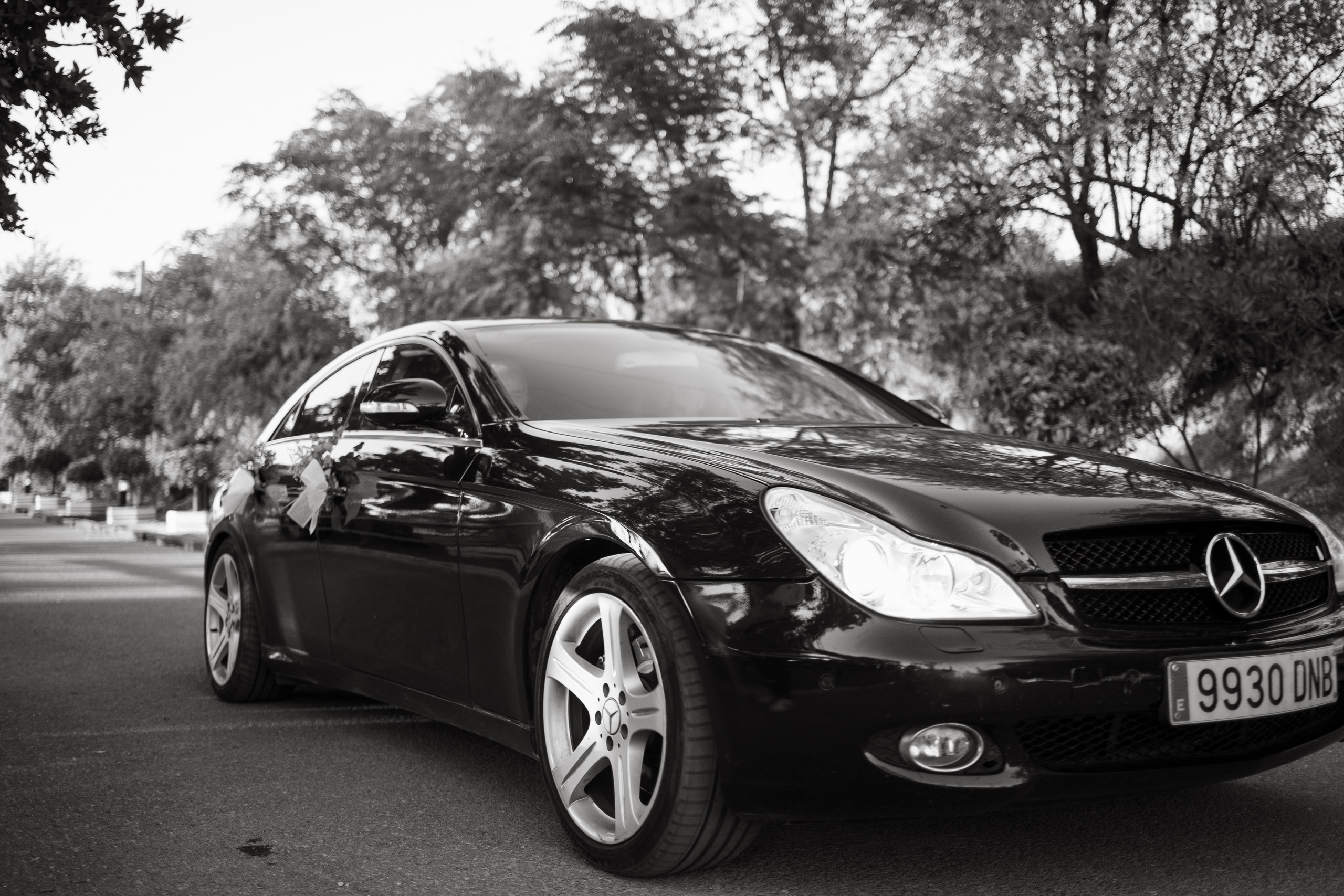 F+P. Fotografía de bodas en Córdoba
