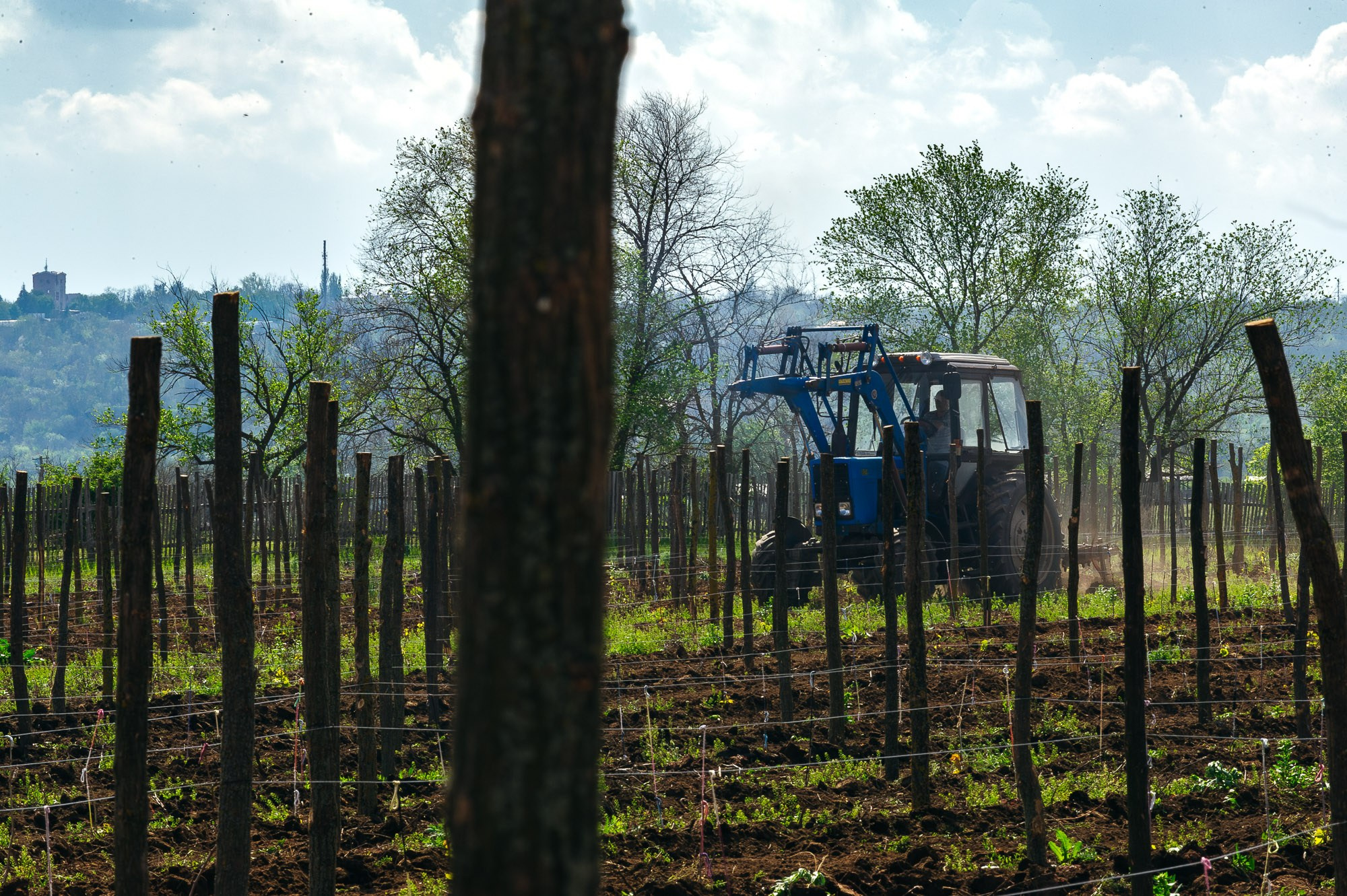 Alexander Kabanov Photographer