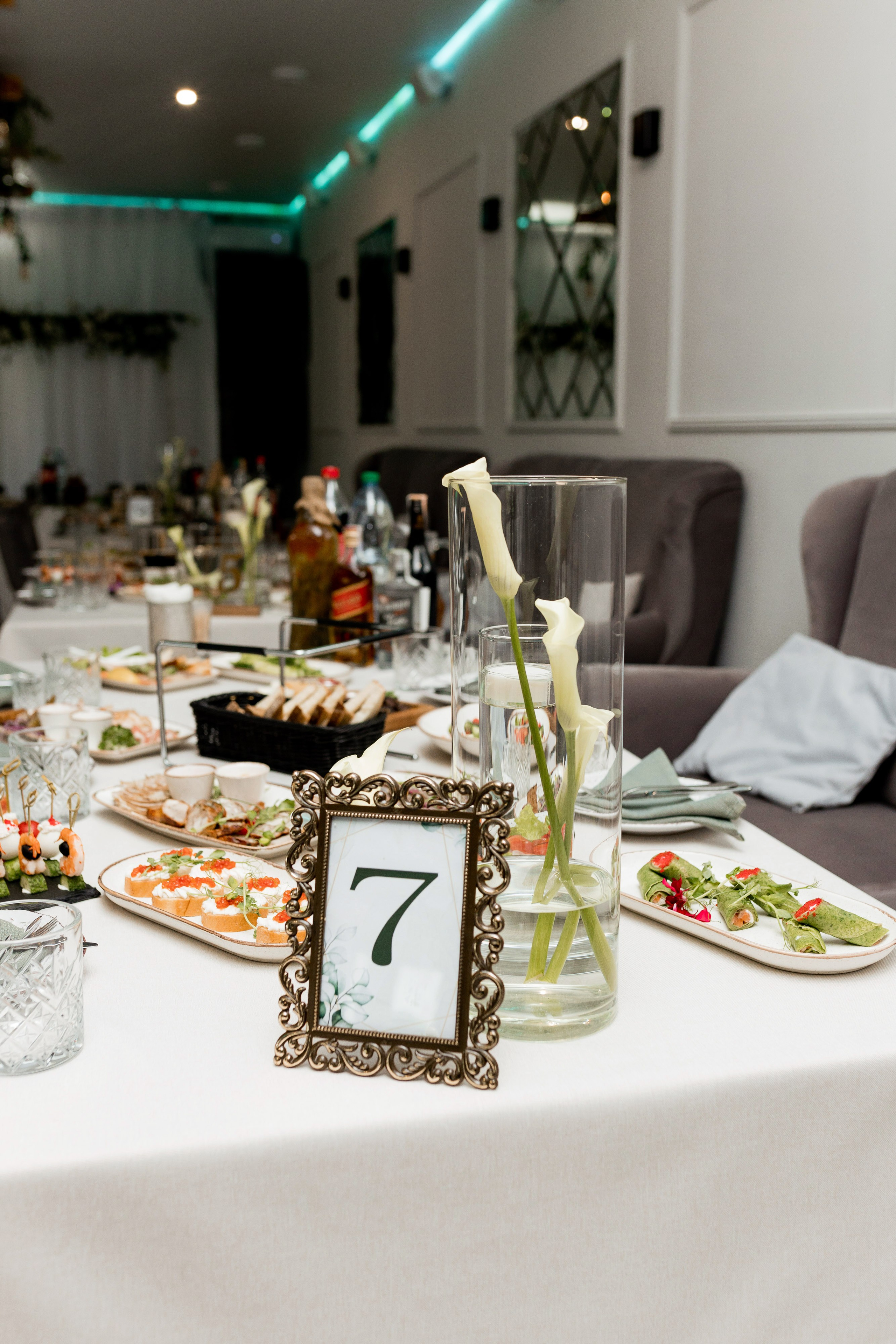 Софія та Юрій. Ірина Терещук