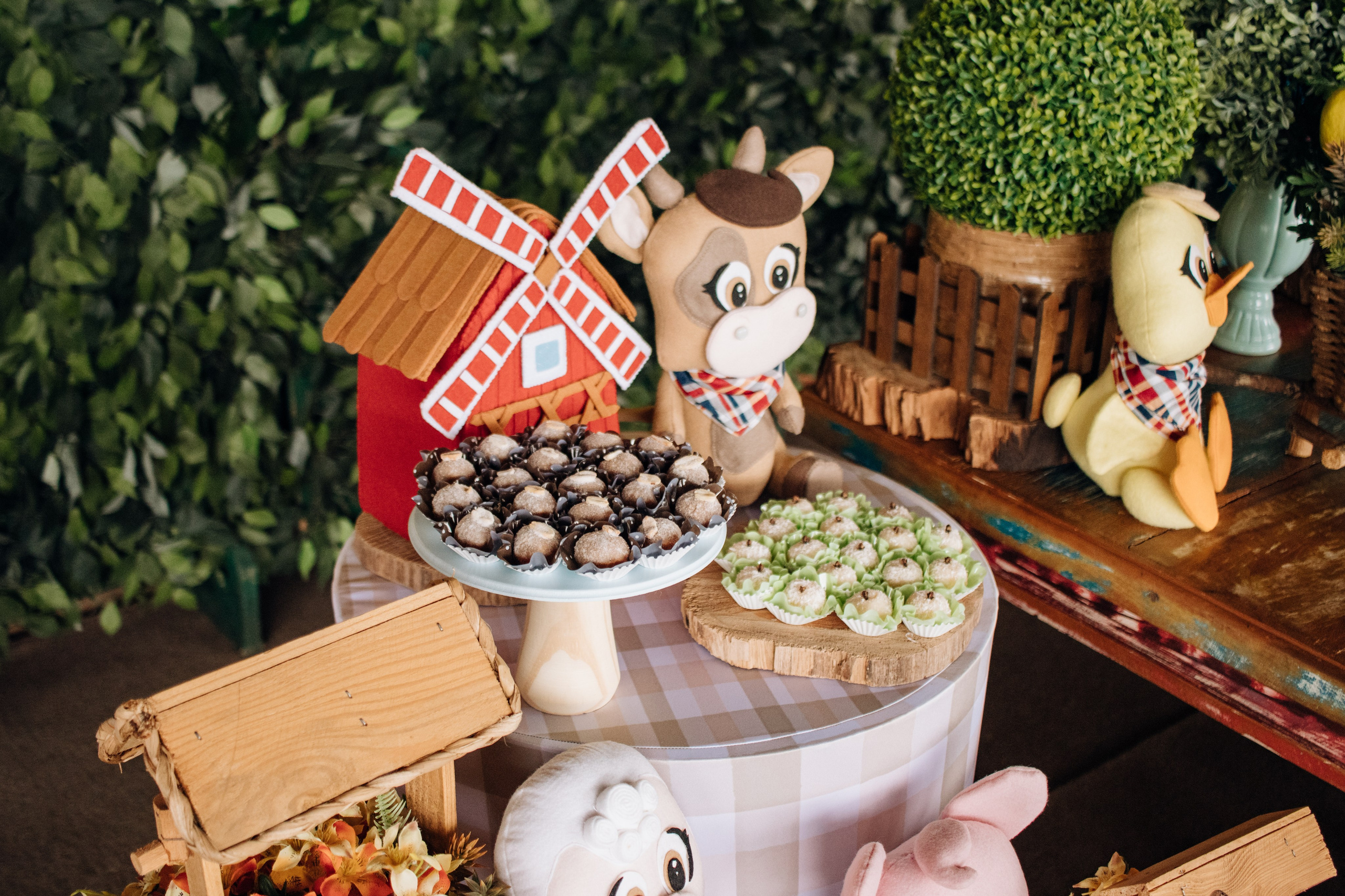 Gustavo — Aniversário 1 ano. Principal