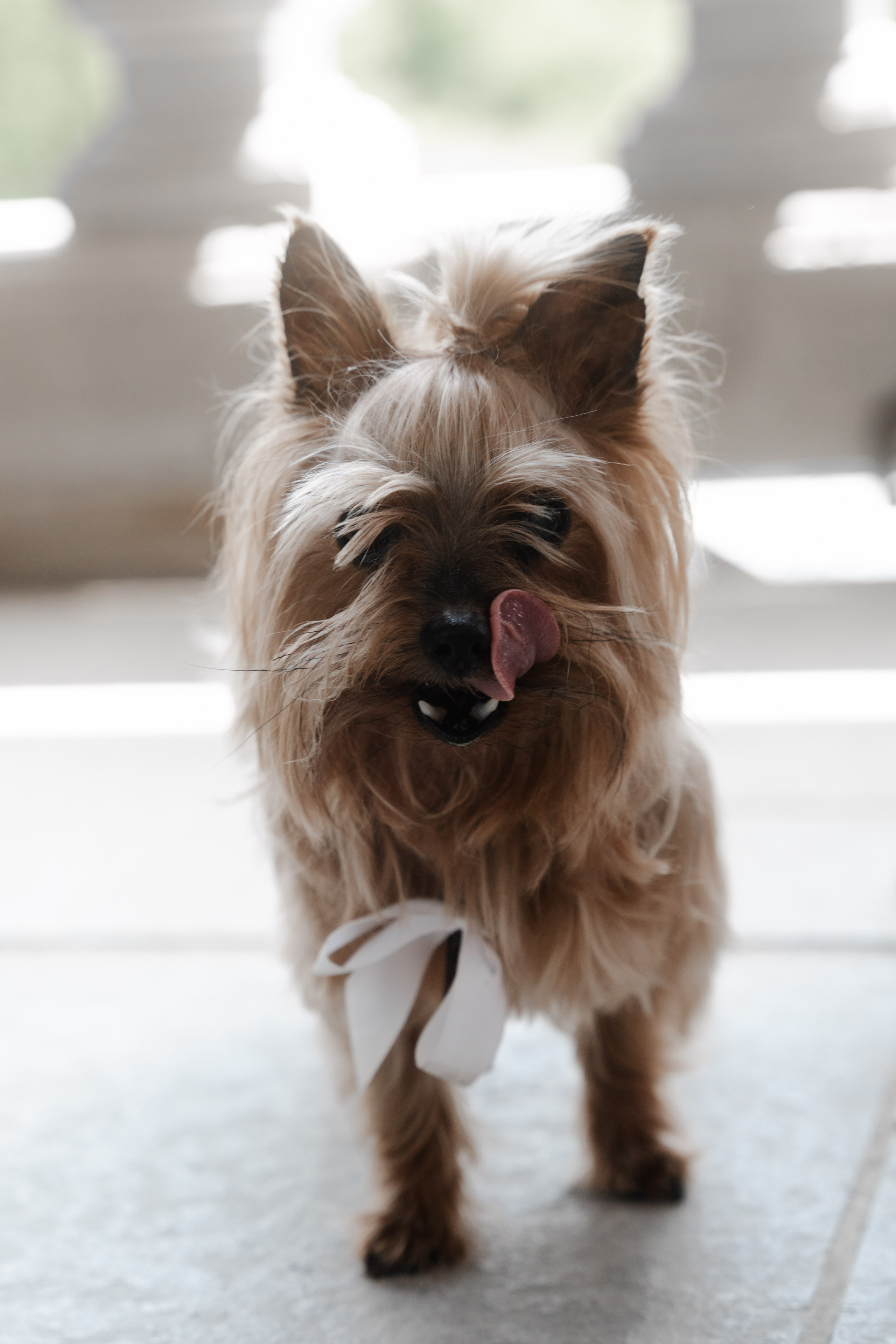 Journée de mariage complète 