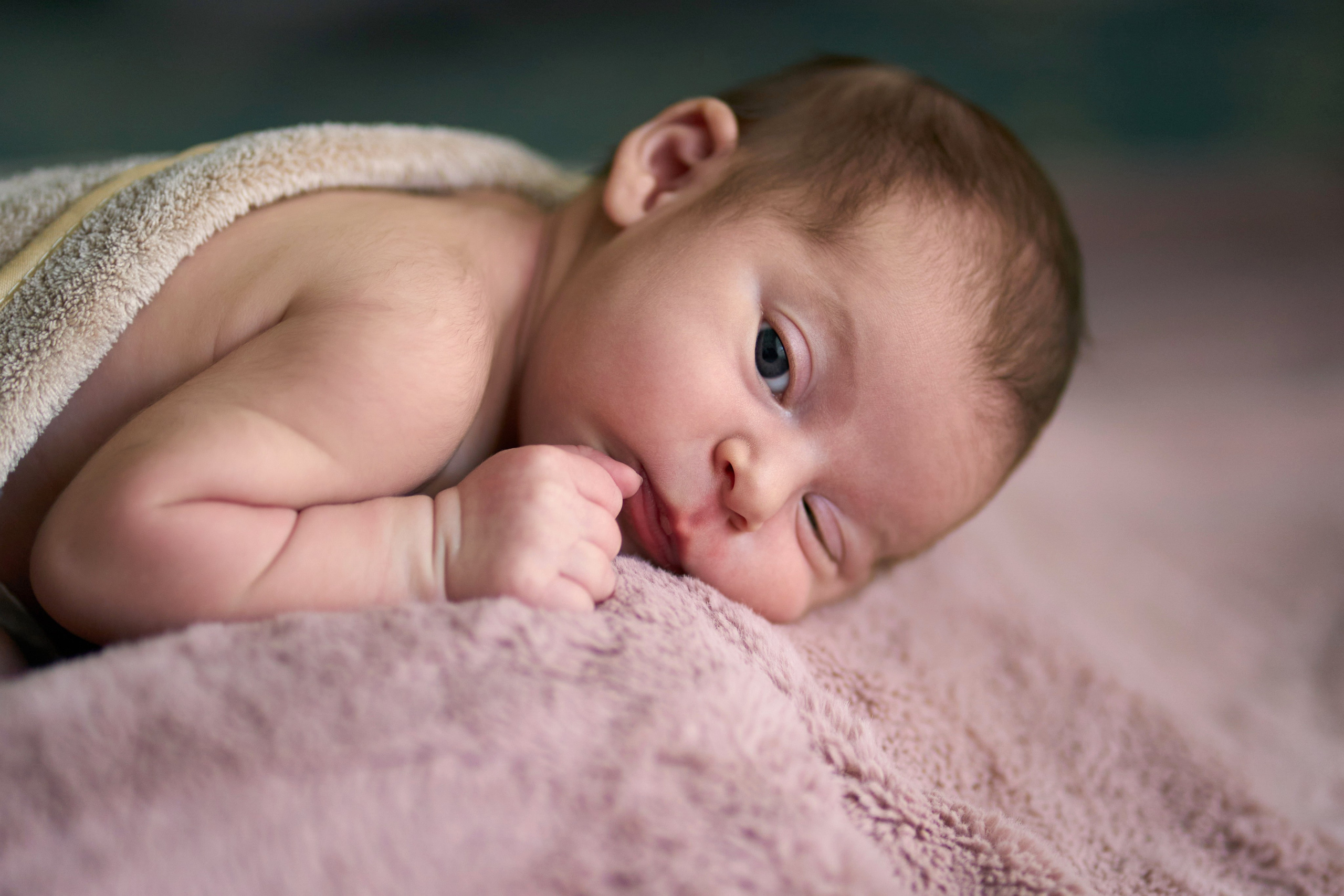 Newborn — Mia. צלם אלכס ברט בישראל