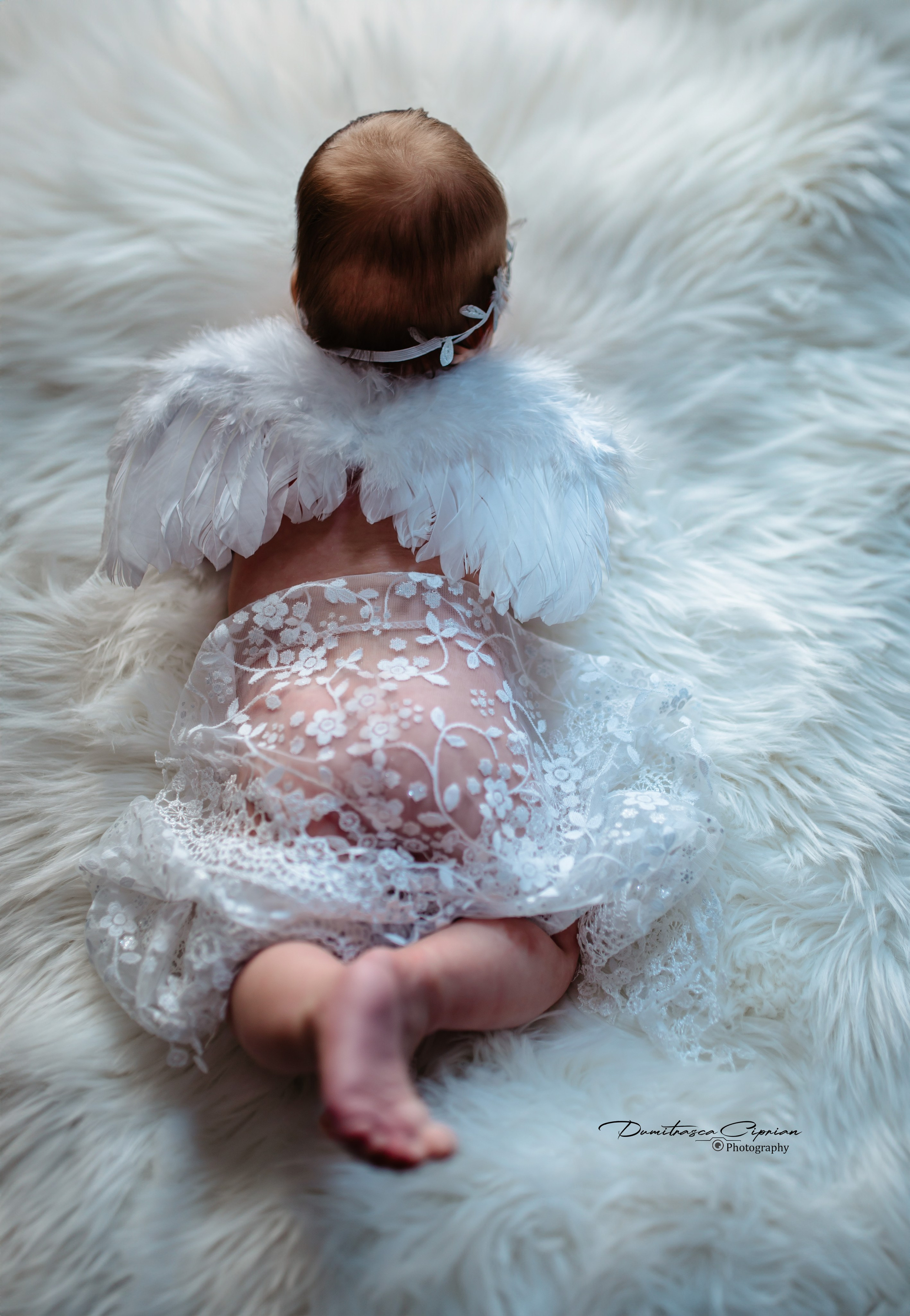 Izabela Medeea. Dumitrasca Ciprian Photography