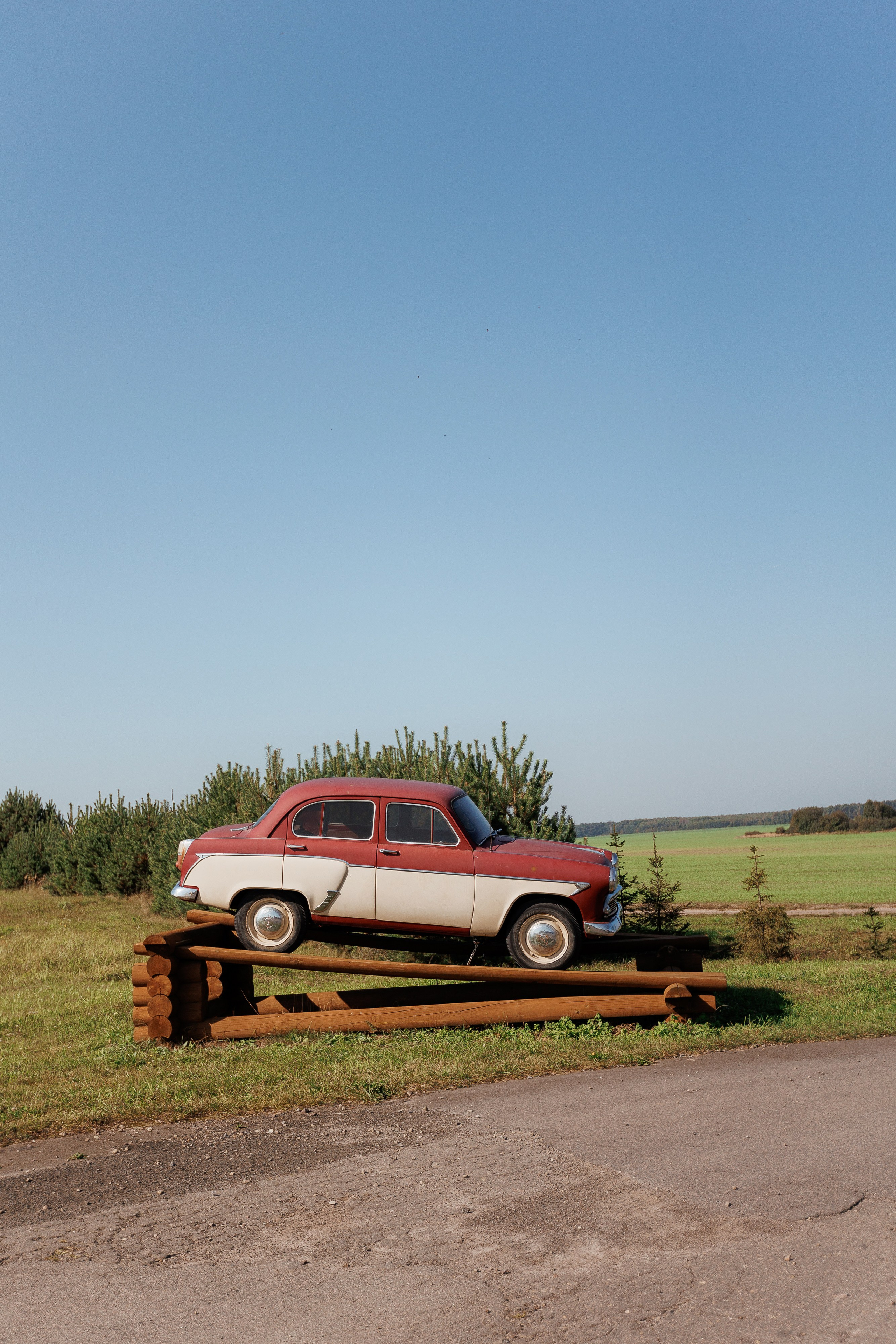 Екопарк Аміла. Ірина Терещук