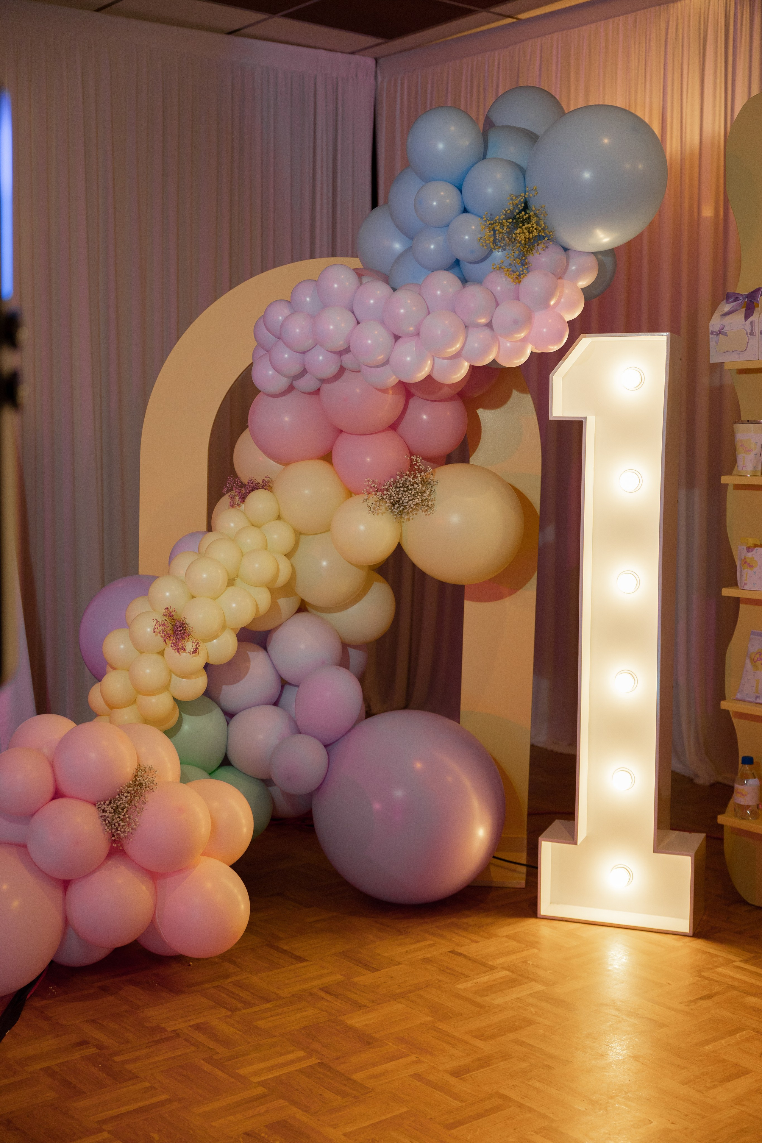 1 st Birthday. Portrait and Family Photographer in Netherlands