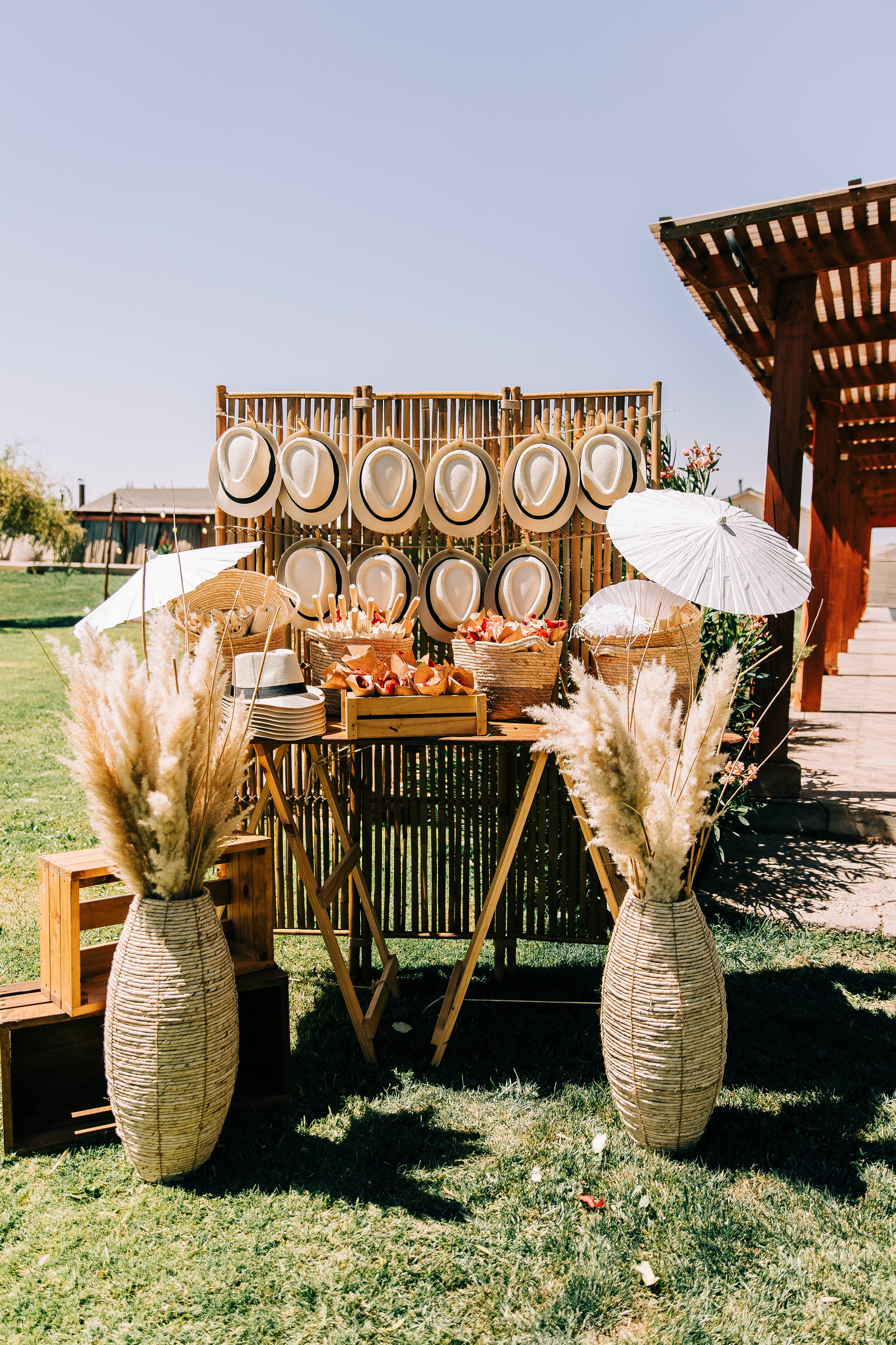 Pamela & Patricio. Fotógrafa familiar Santiago y Chile Anna Almazova