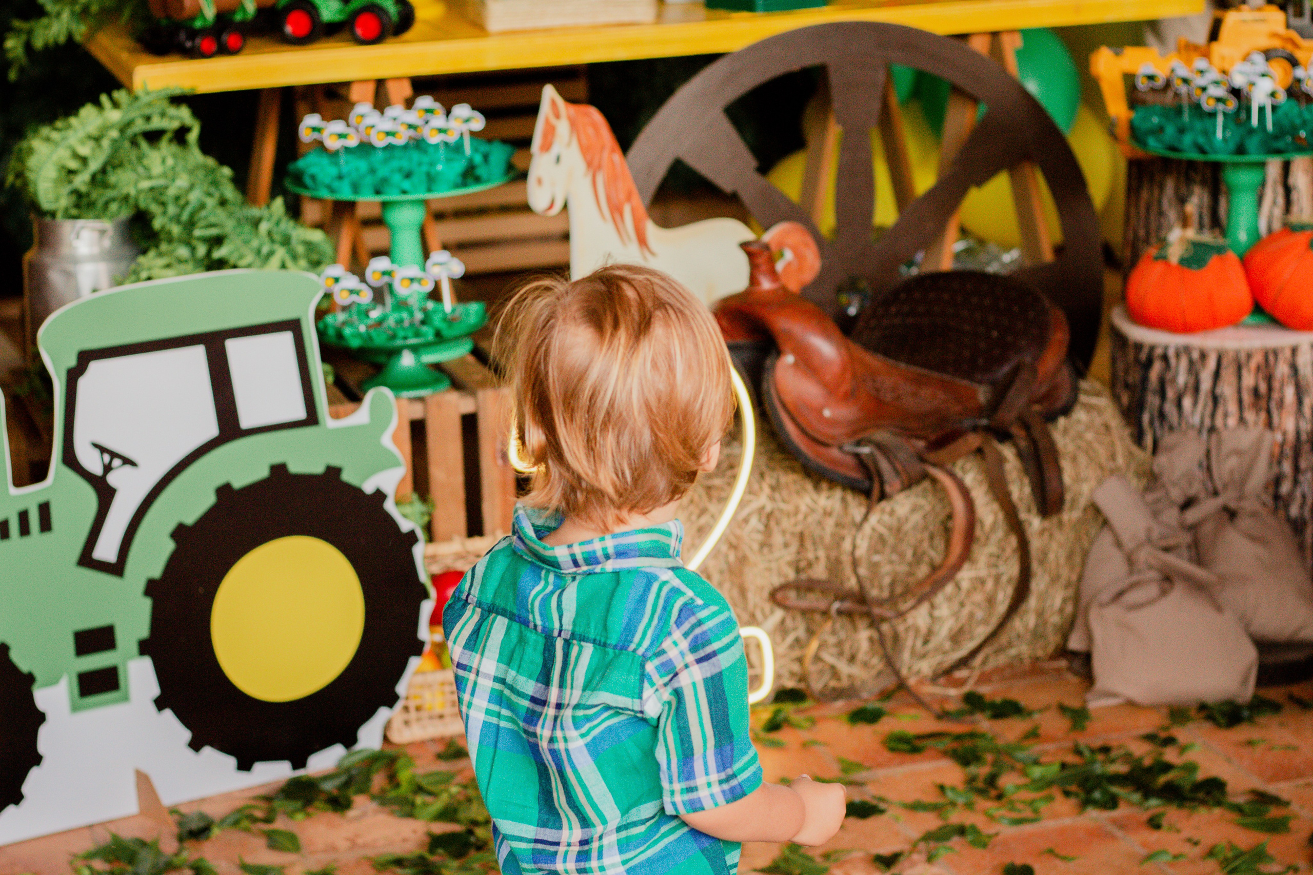 Fotografia de Aniversário Infantil em Holambra – Theo, 2 anos | Joyce Maria. Joyce Maria Fotografia | Fotógrafa em Holambra