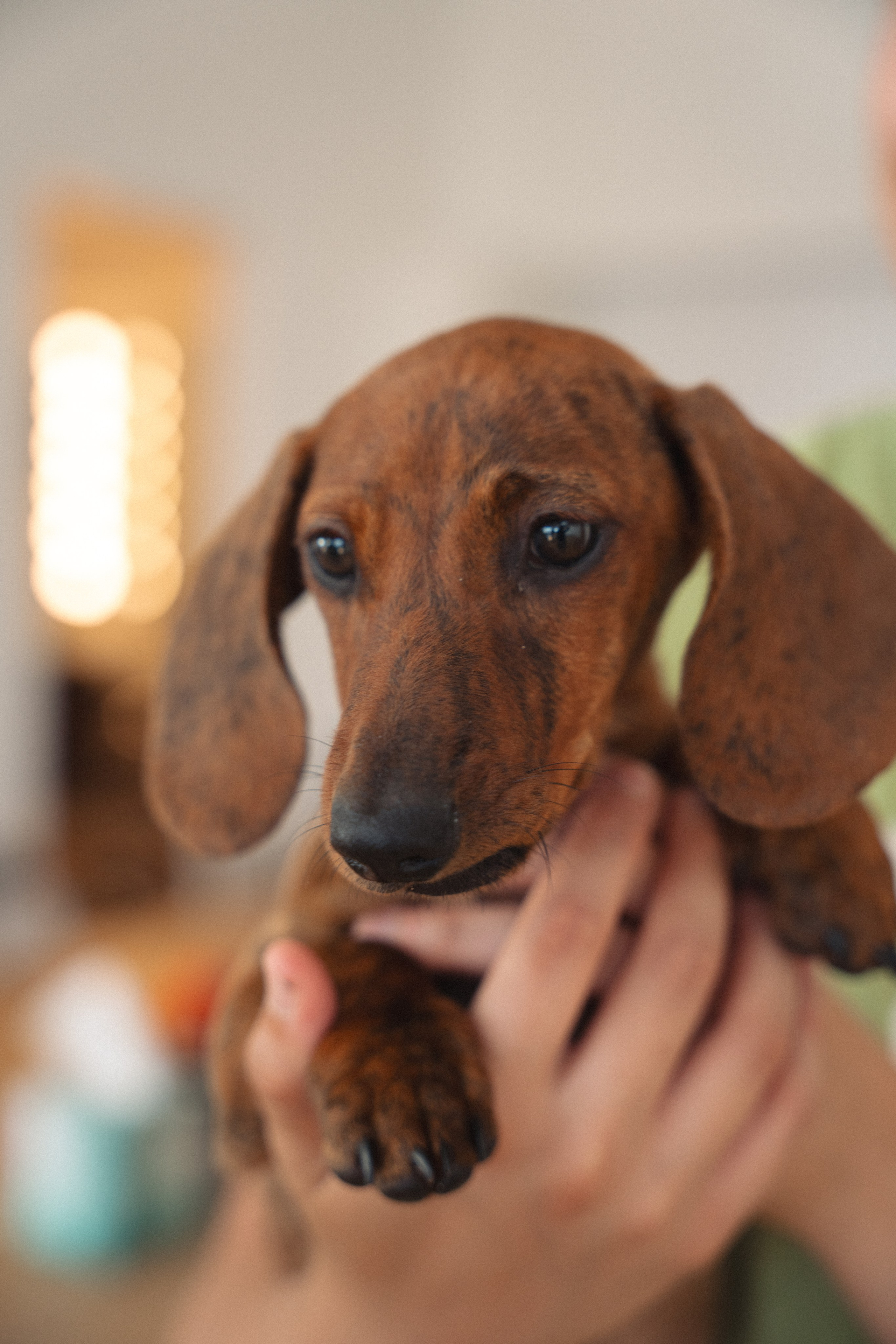 Yoga event in Los Angeles. Event photographer. Events in Los Angeles. Fitness event in Los Angeles. Fitness event photographer