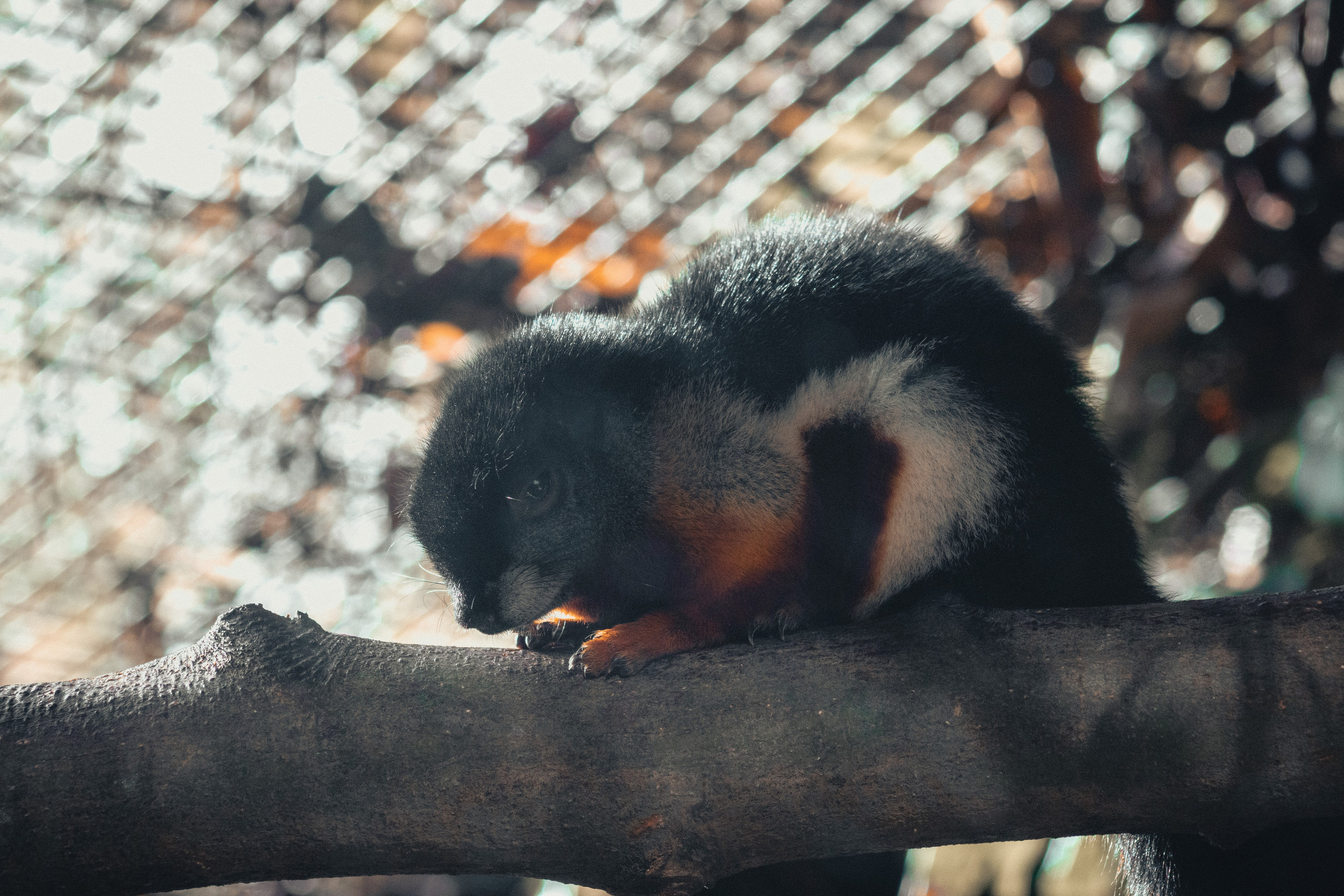 Nature. Portrait and Street photographer in Vilnius Edgar Shaipunas