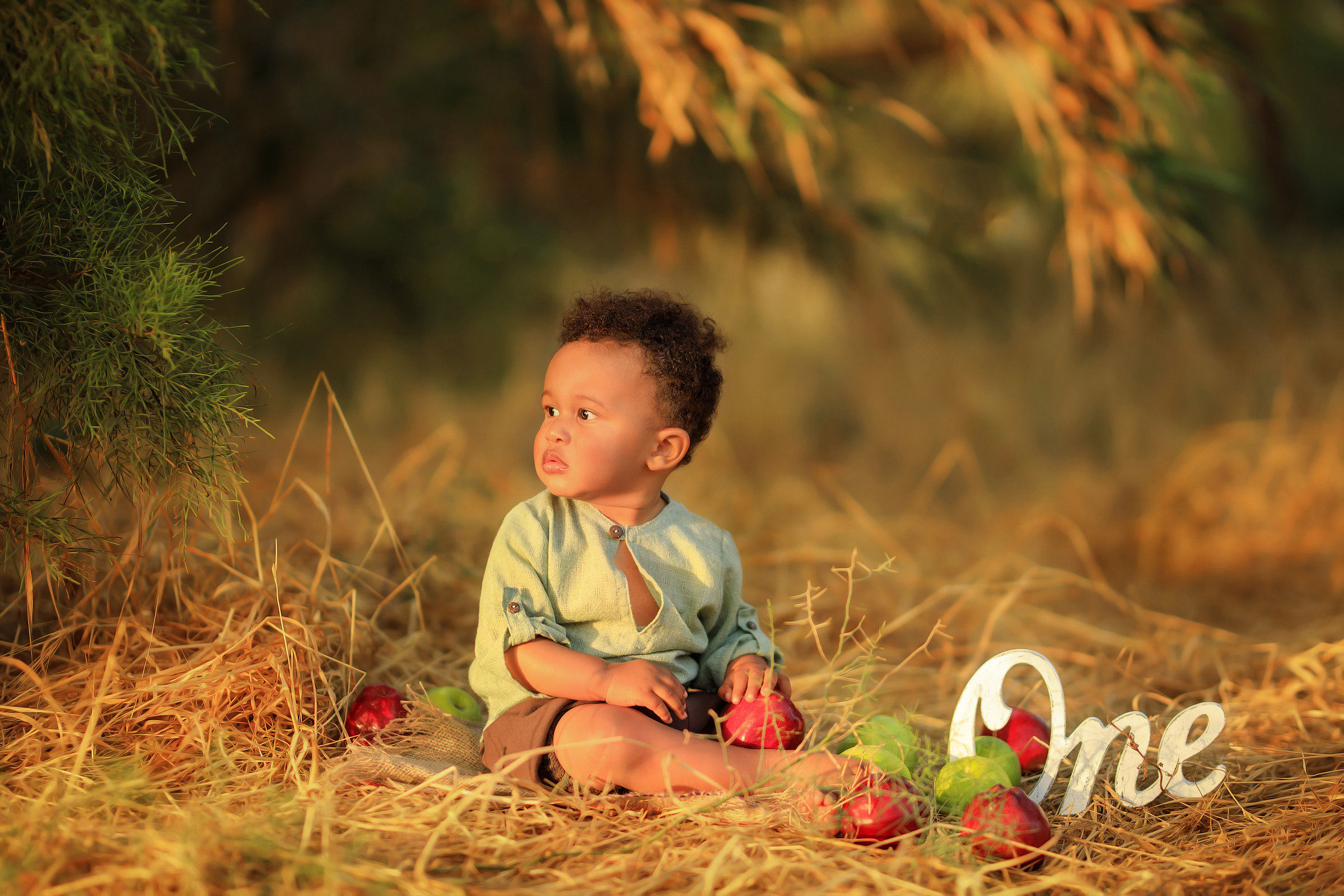 צילומי גיל שנה בטבע. נטליה רוזמן צלמת הריון ניובורן ילדים ובוק בת מצווה