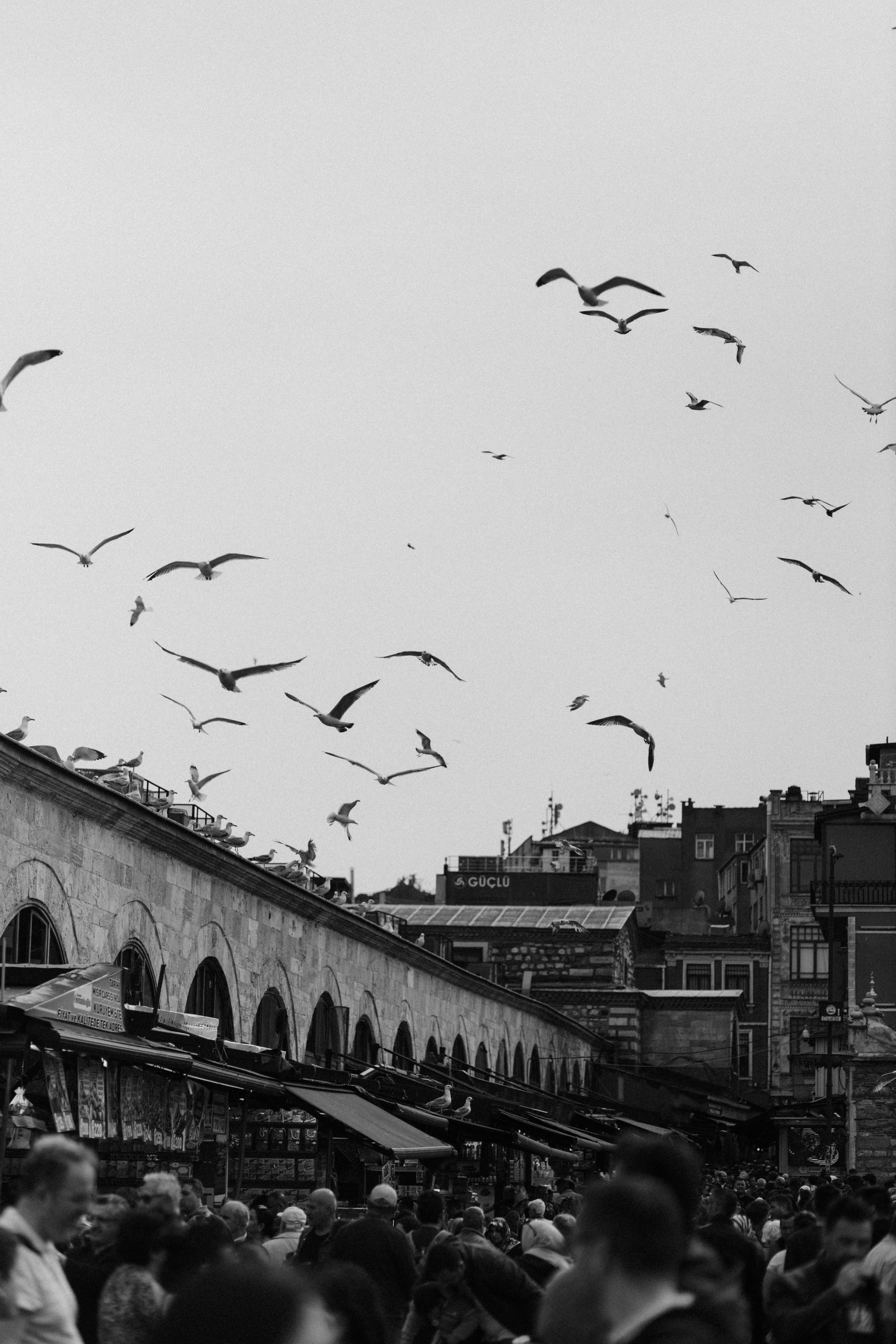 . Фотопрогулки в Стамбуле