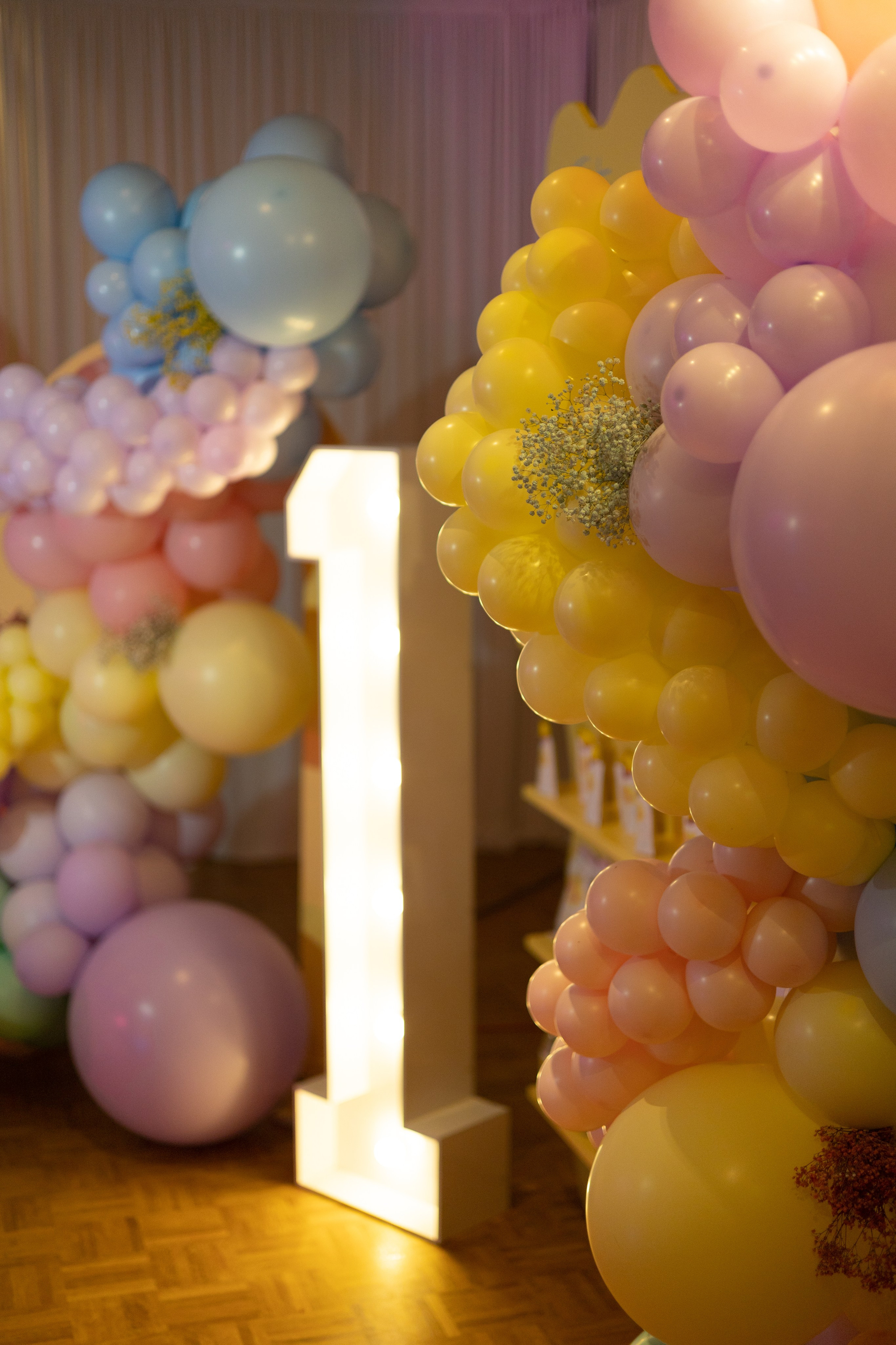 1 st Birthday. Portrait and Family Photographer in Netherlands