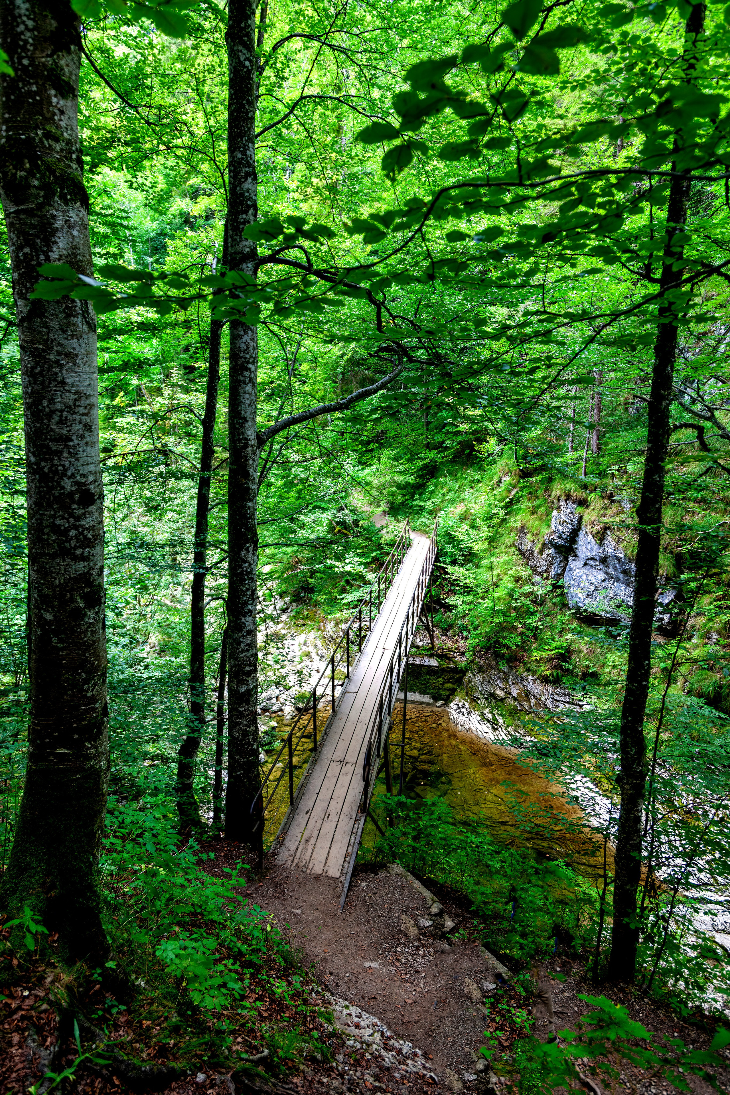 197.Ötscher Base Nature Park.Austria.21.8.2025. Путешествия в формате 360......