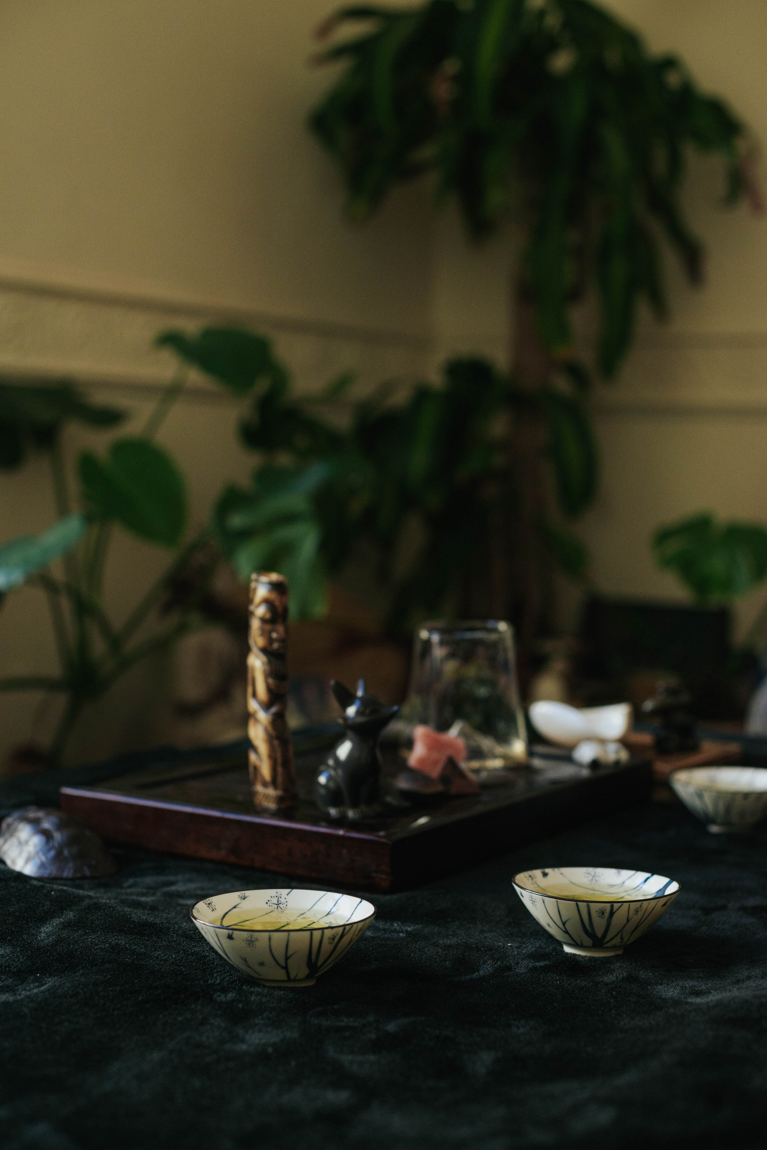 Нешкольное чаепитие. Фотограф @elmirkami в городе Буэнос-Айрес