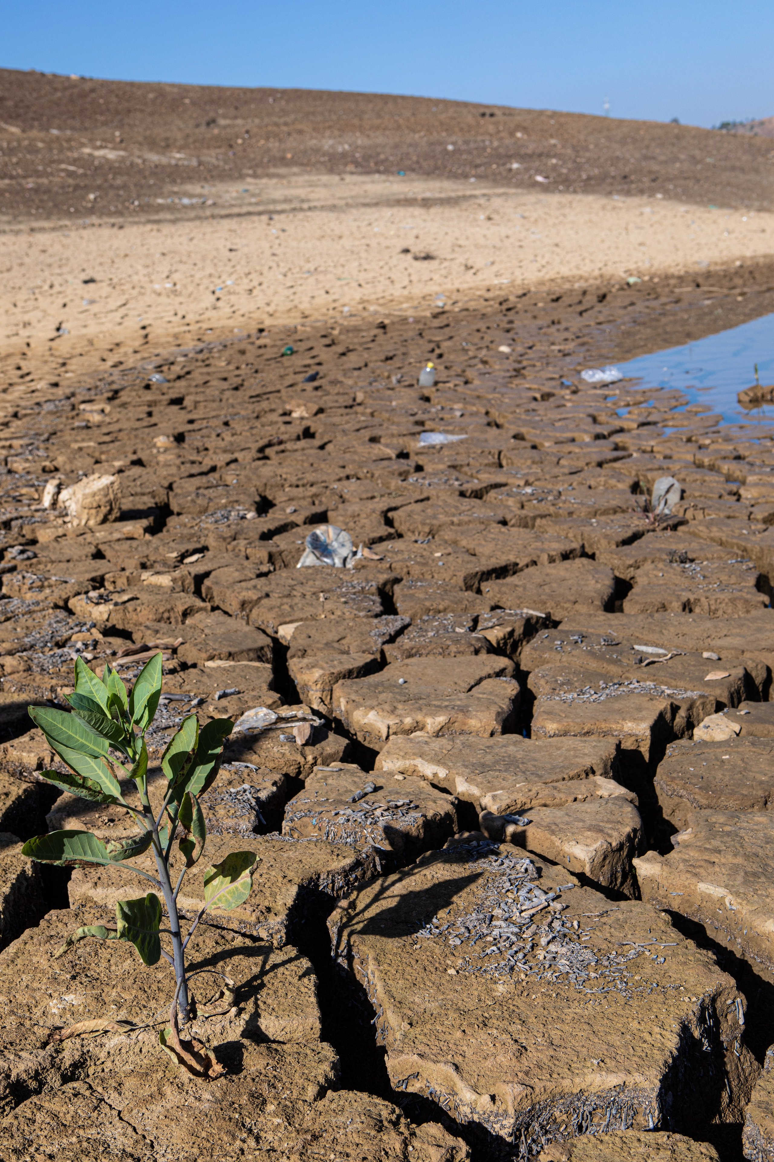 Garbage landscape. Documentary, lifestile photographer in Morocco Marina Chaikovskaia