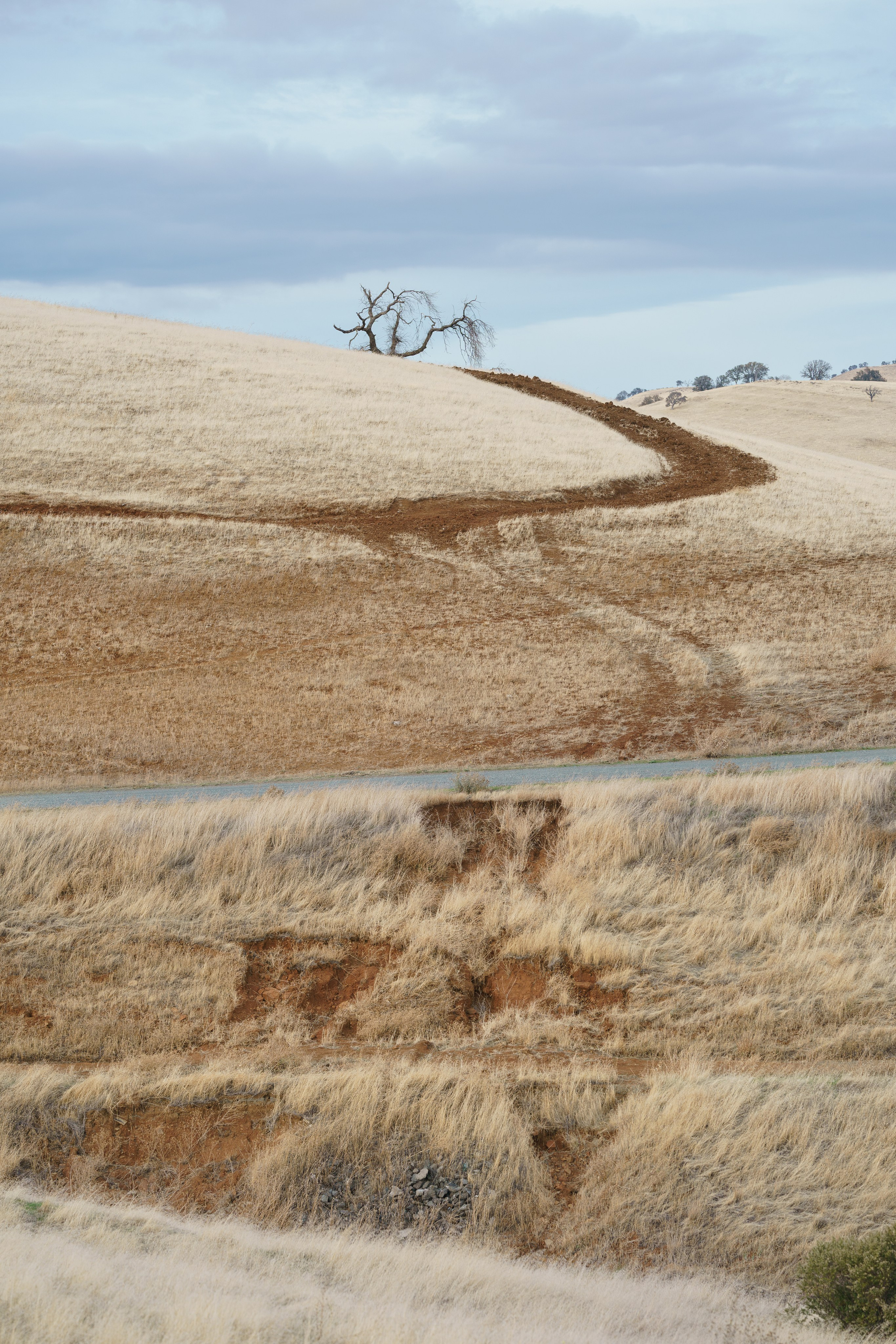 Los Vaqueros Reservoir. Tatiana Smirnova — Photographer