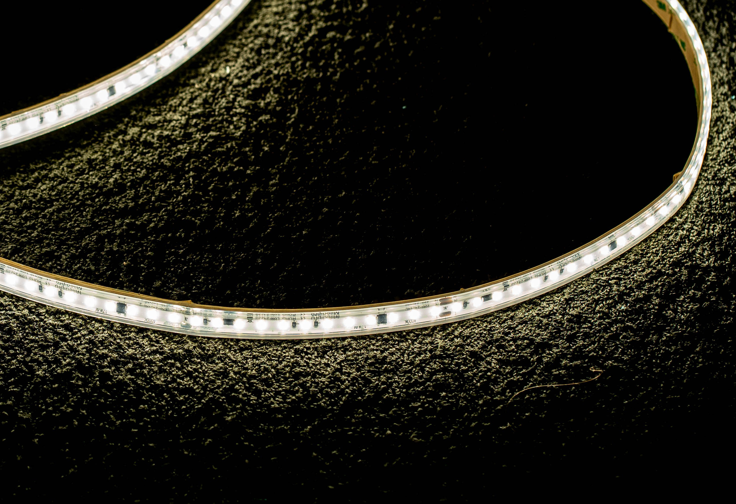 LED Lights. Baby Beast