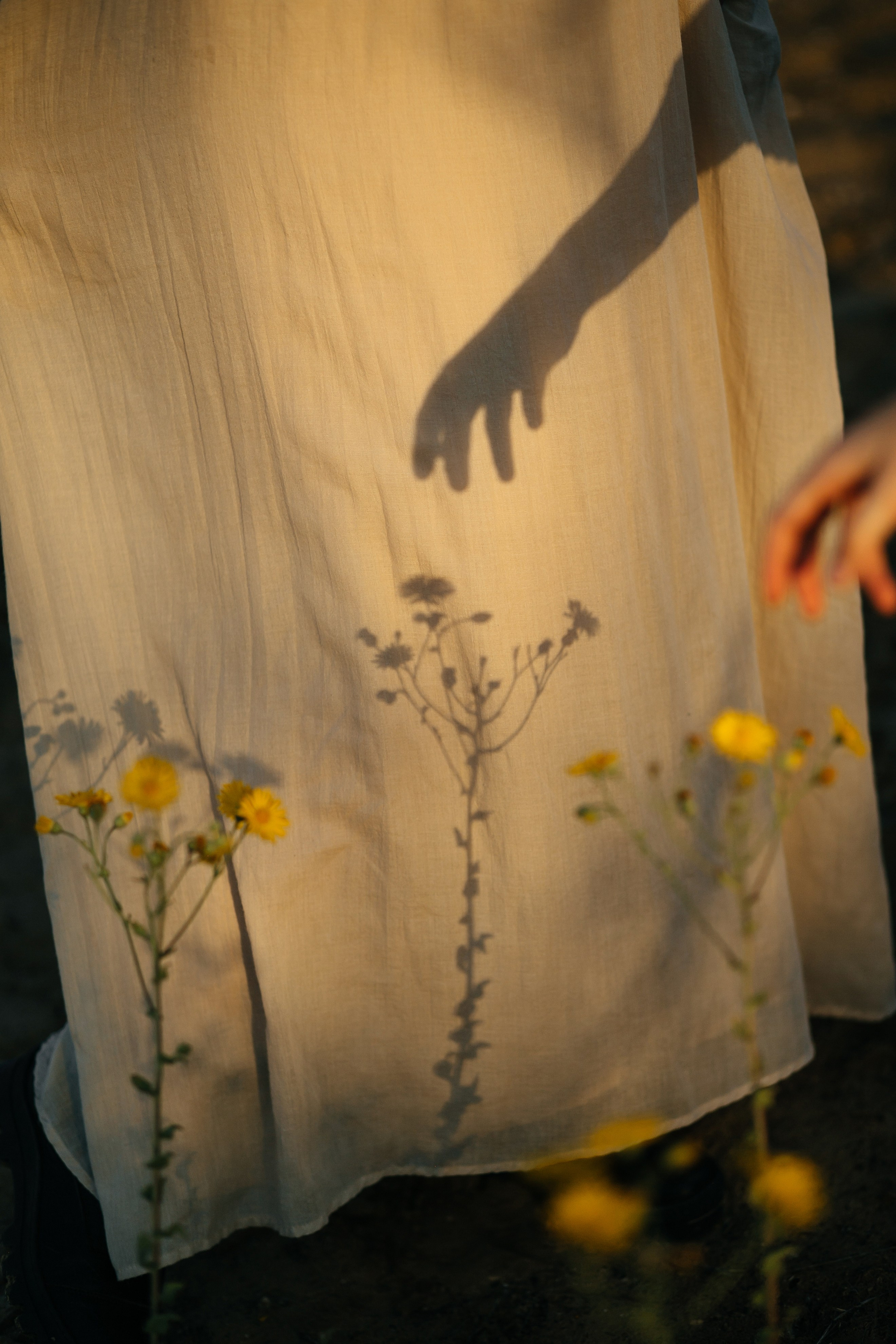 3 sisters Netanya. Family photographer in Israel