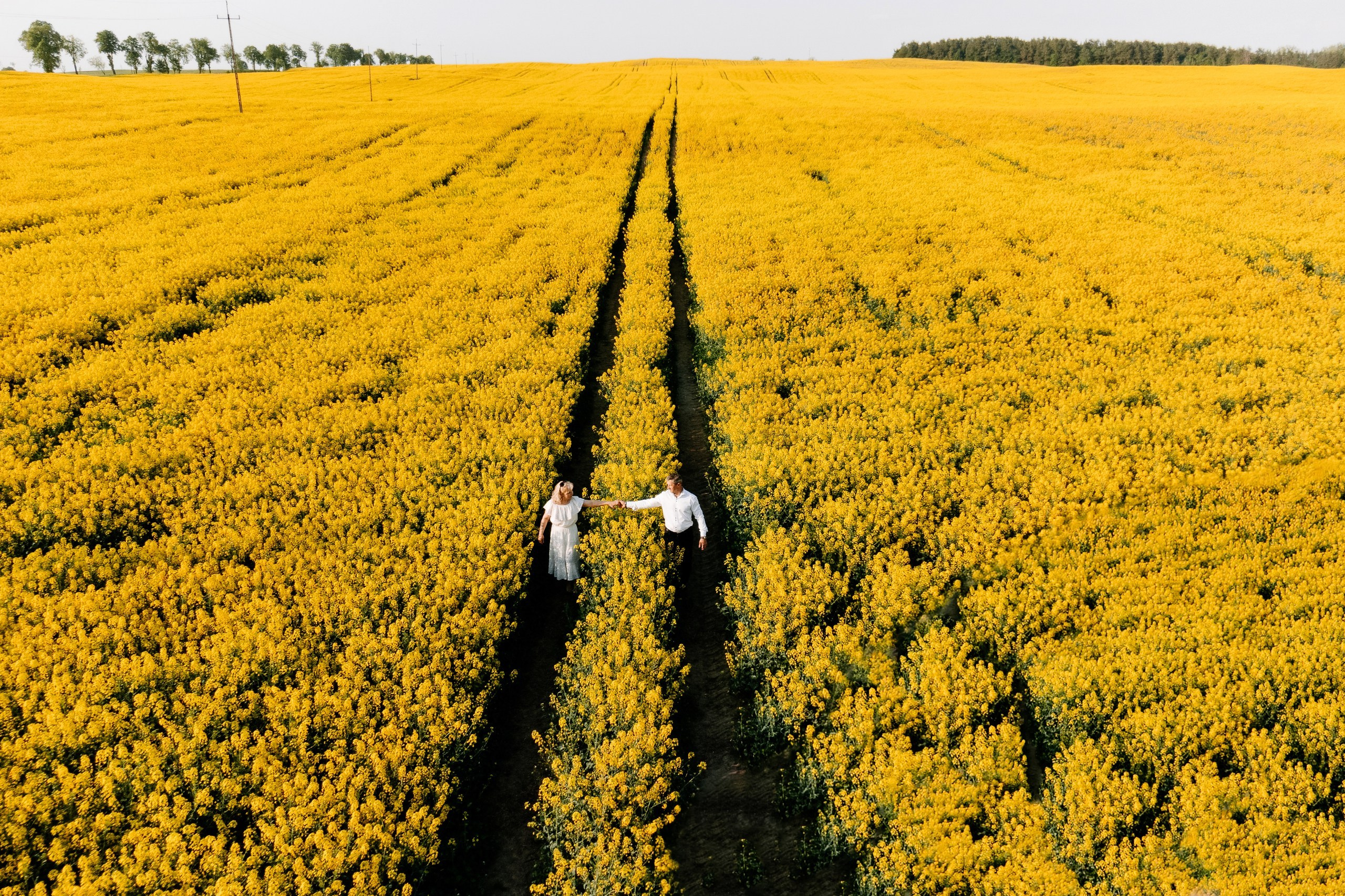 Małgorzata ♡ Ryszard. Fotograf Ślubny Warszawa - Sesje Biznesowe Rodzinne Eventy