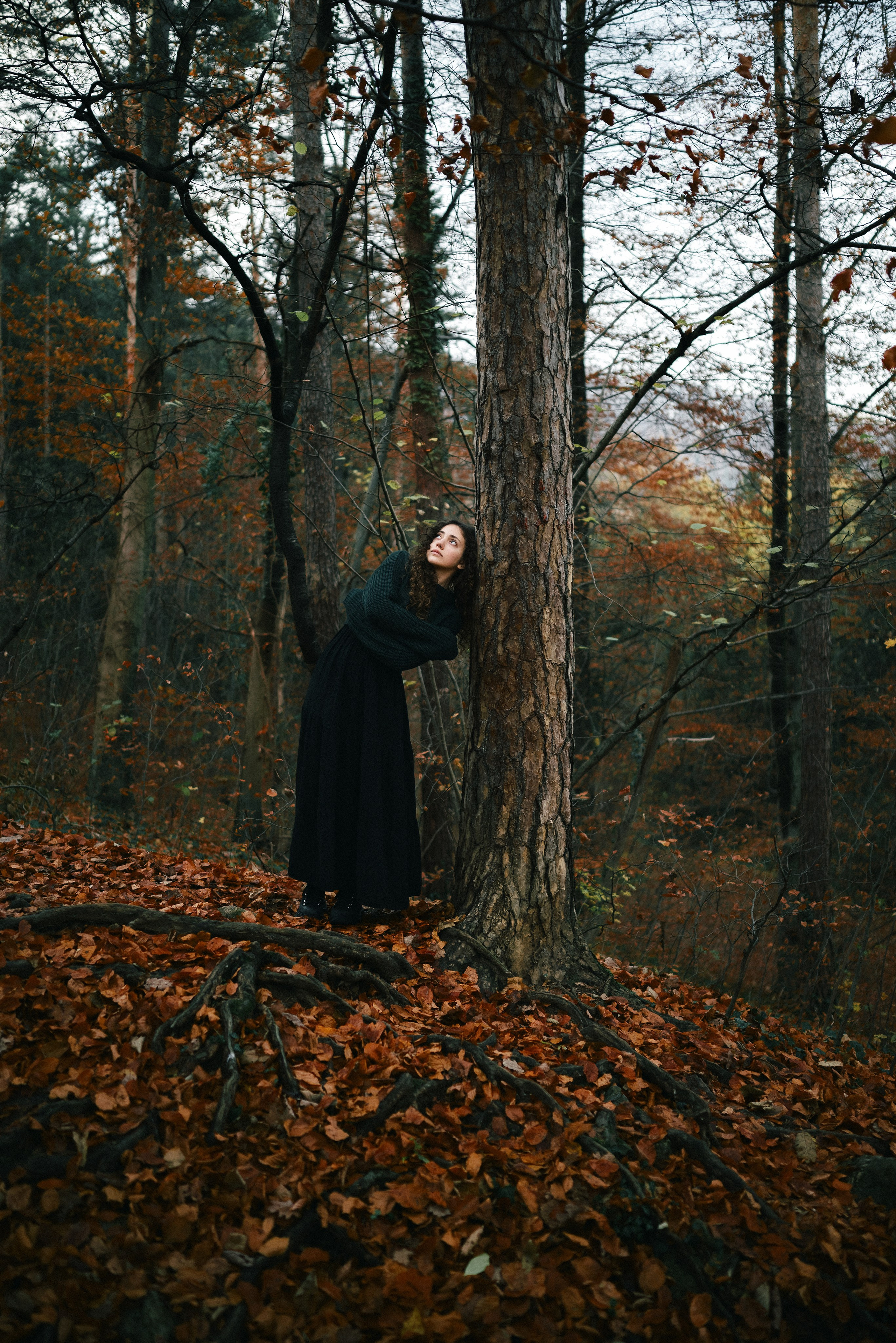 Фото. Nikishadze