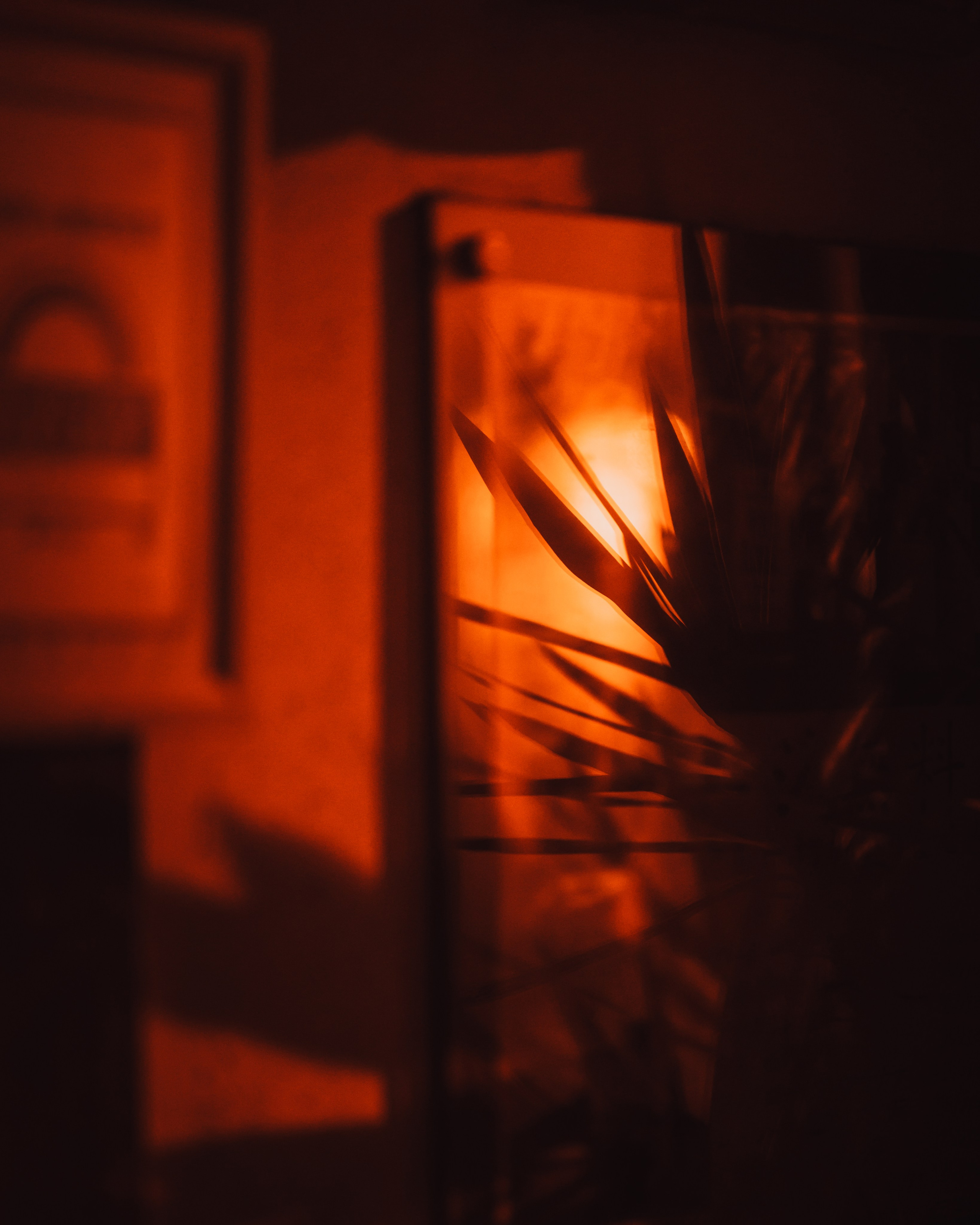 Signature style. Senya JP