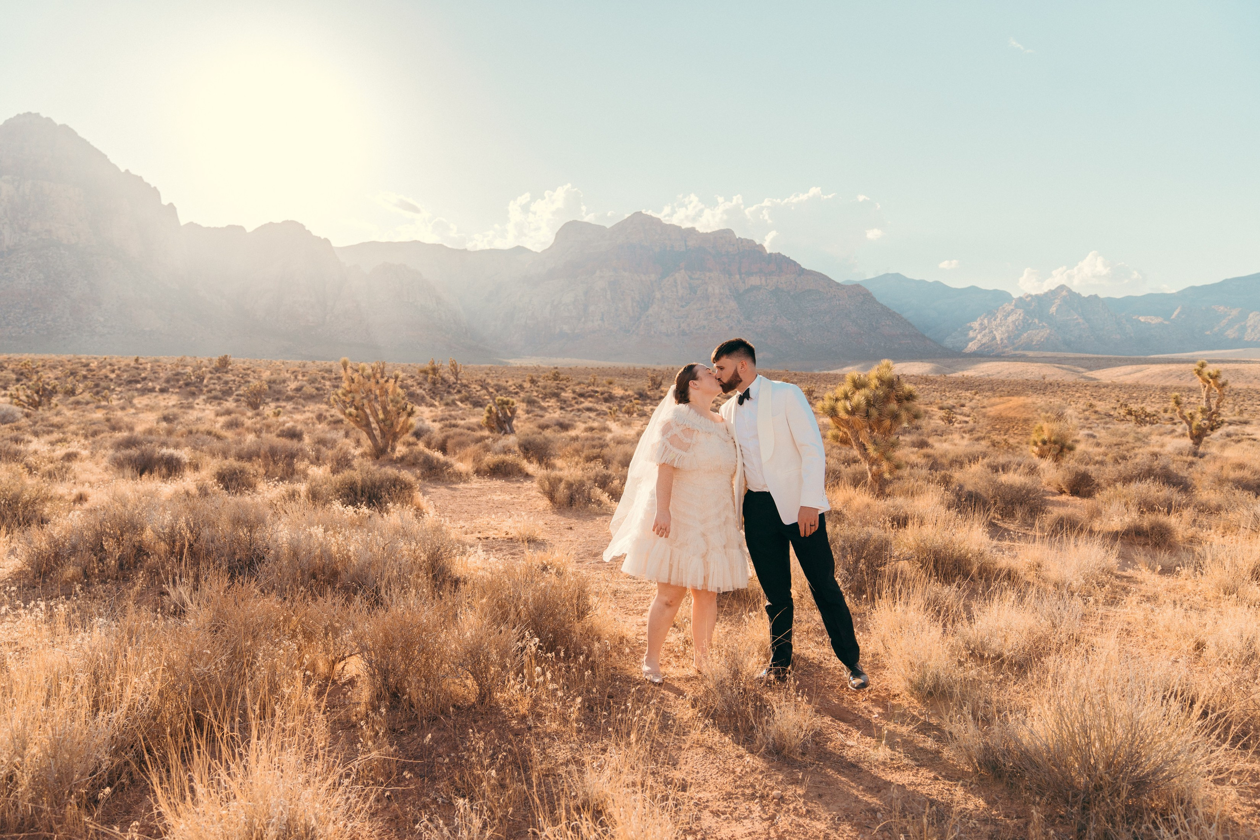Cassie&Jimmy. Wedding & elopement photographer Viktoriya Kravtsov. Las Vegas
