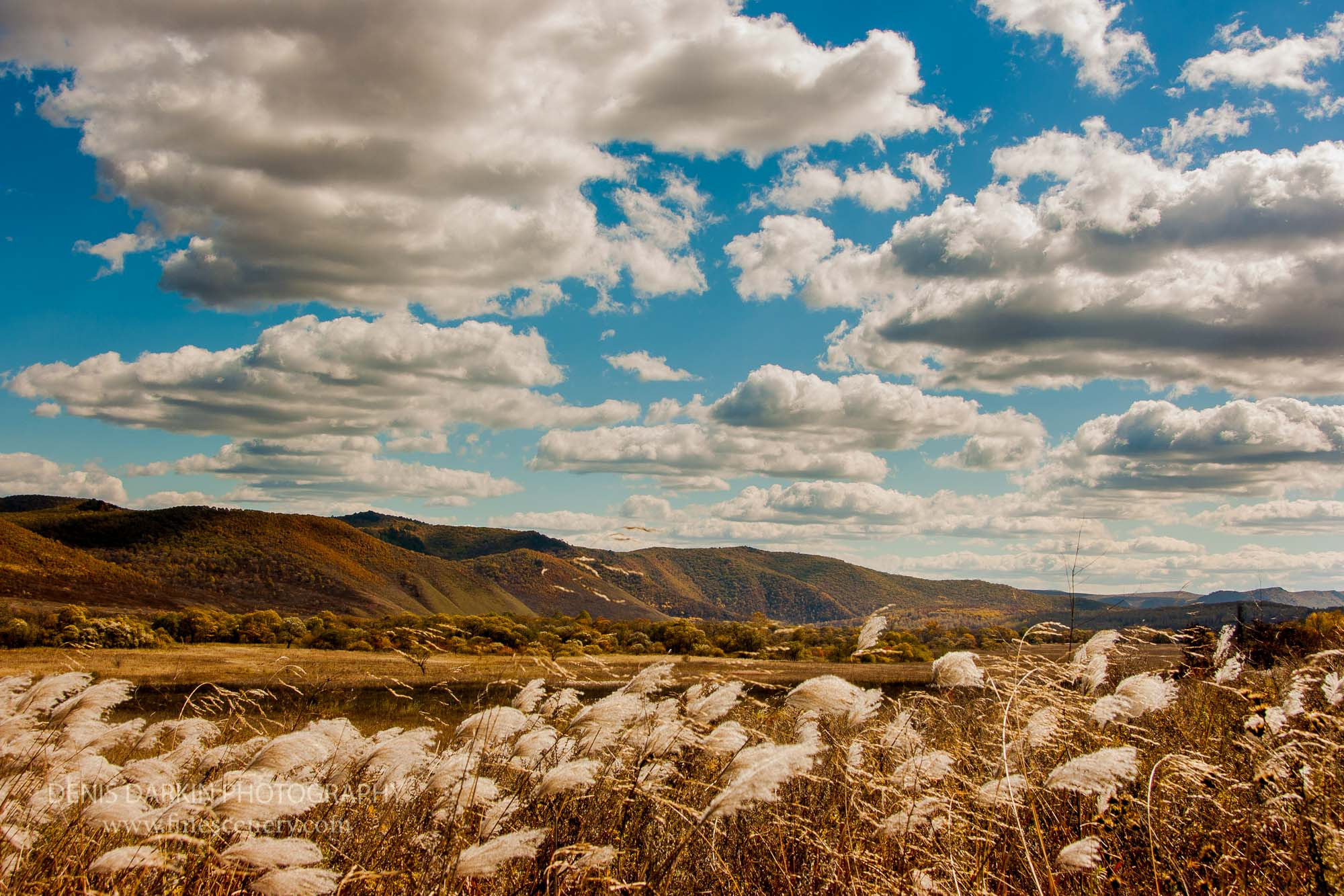 Seasons. Denis Darkin scenic photography