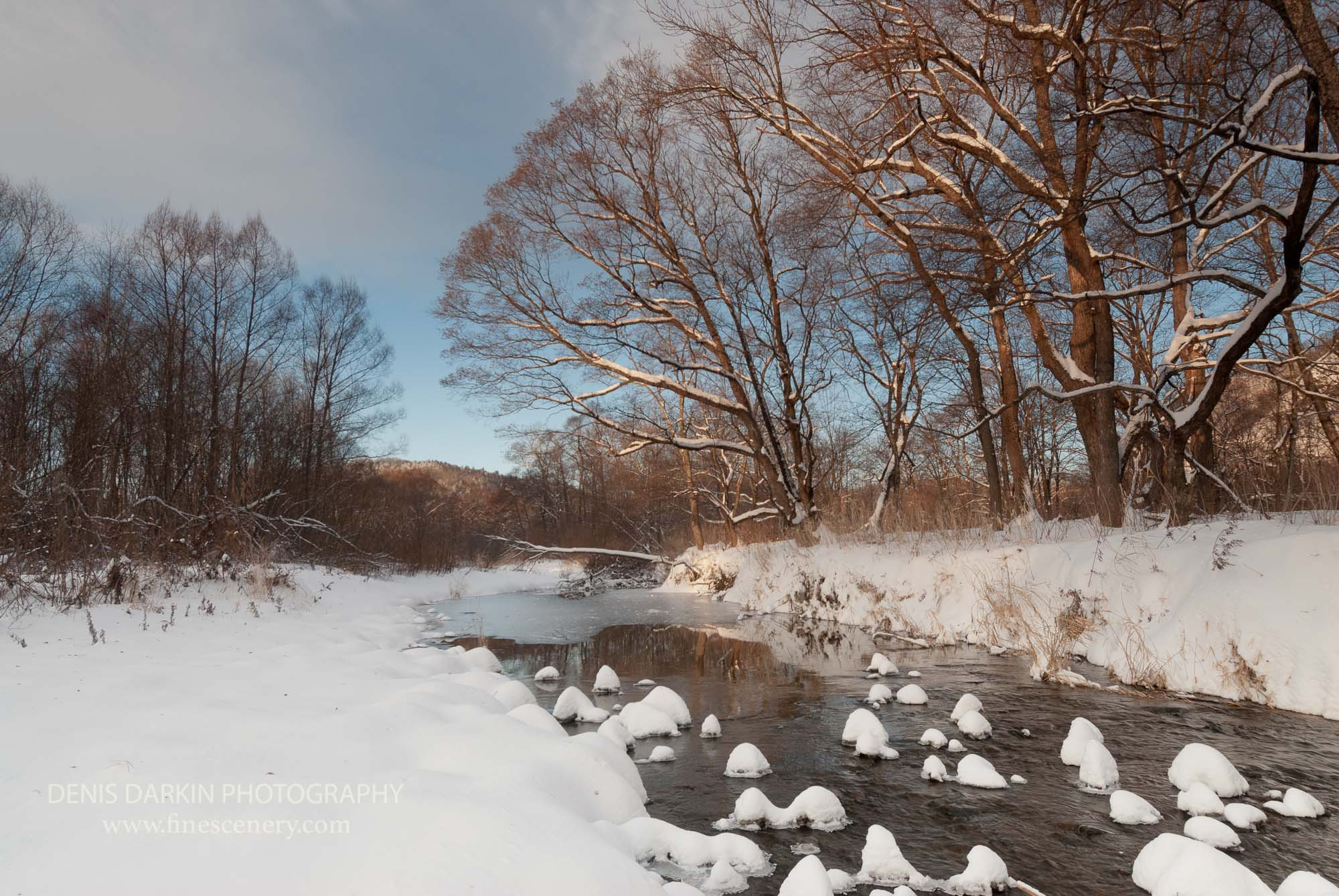 Seasons. Denis Darkin scenic photography