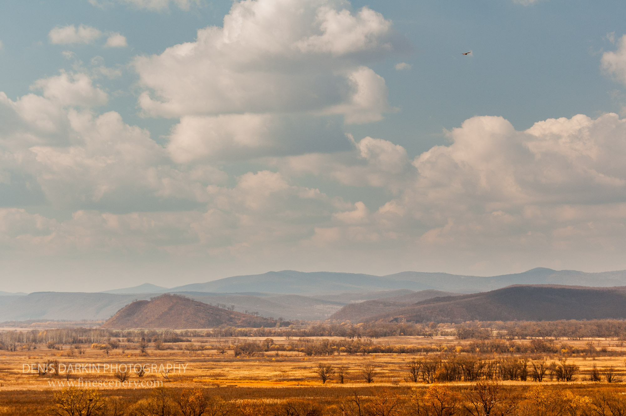 Seasons. Denis Darkin scenic photography
