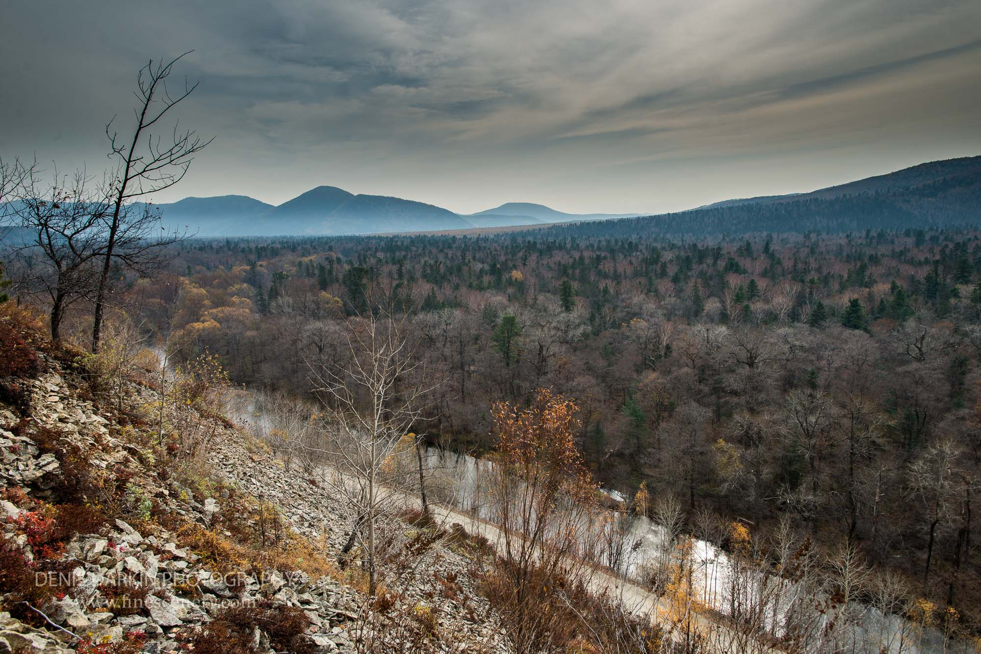 Seasons. Denis Darkin scenic photography