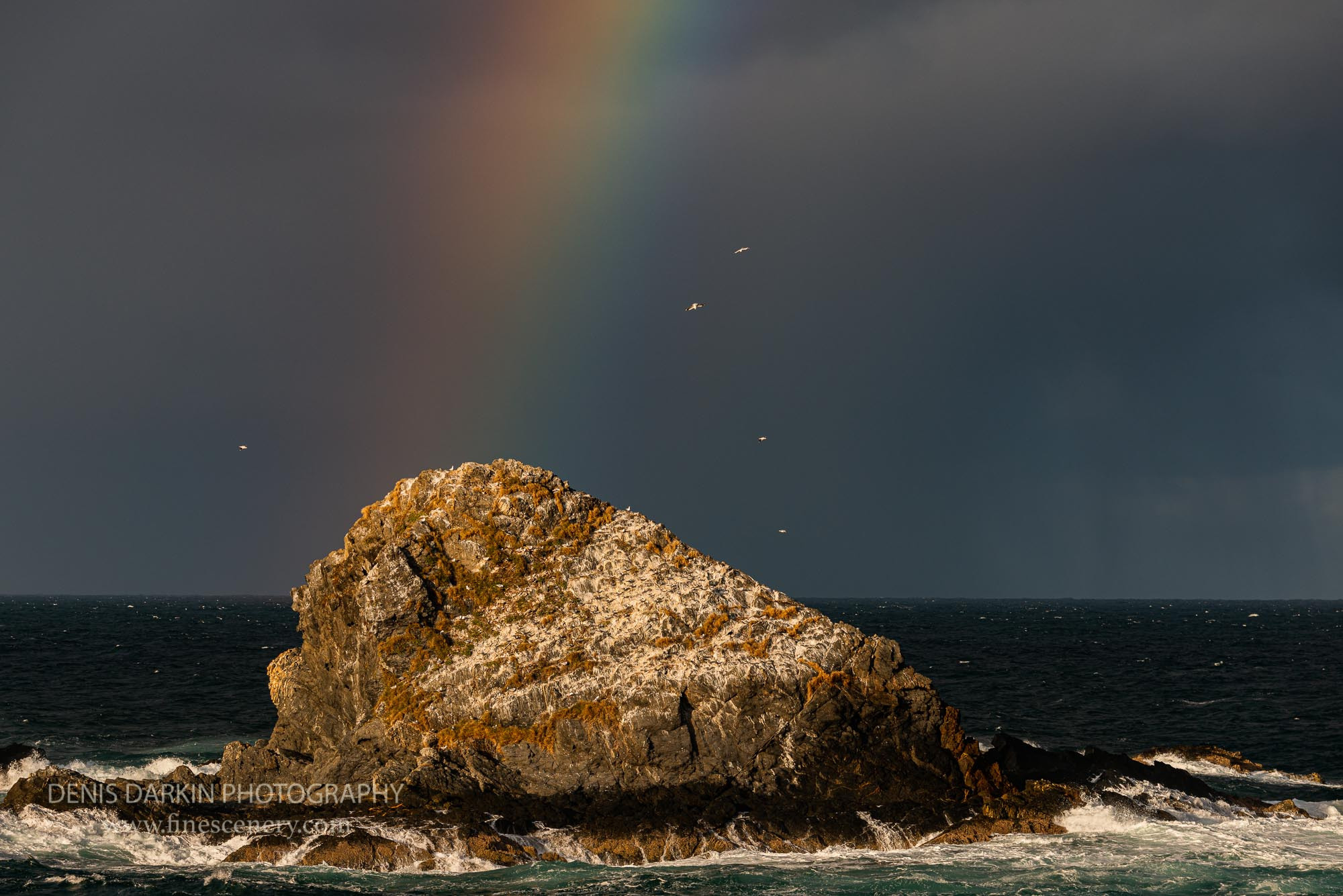 New South Whales, Australia. Denis Darkin scenic photography